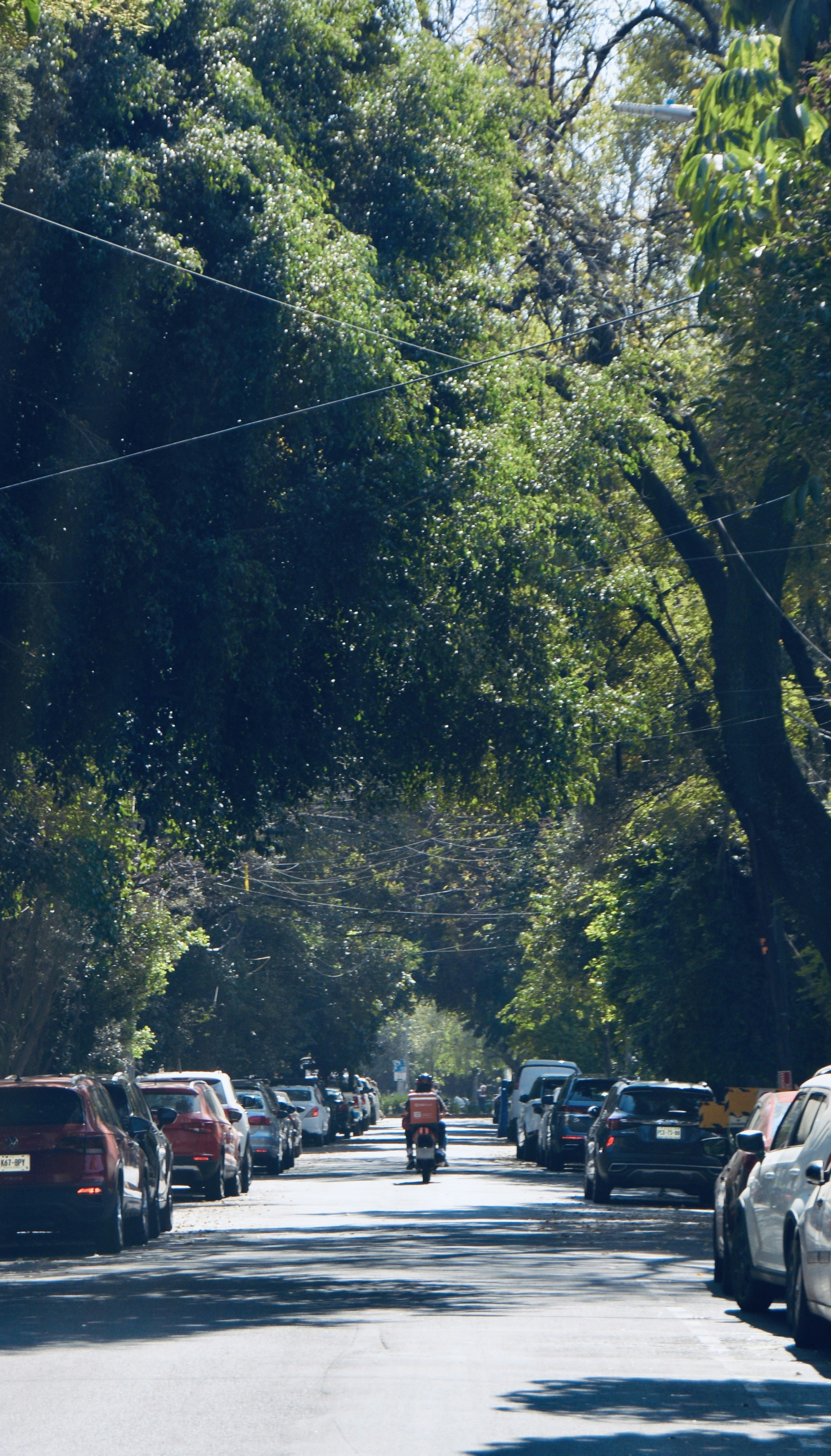 Photo by solmedoariza