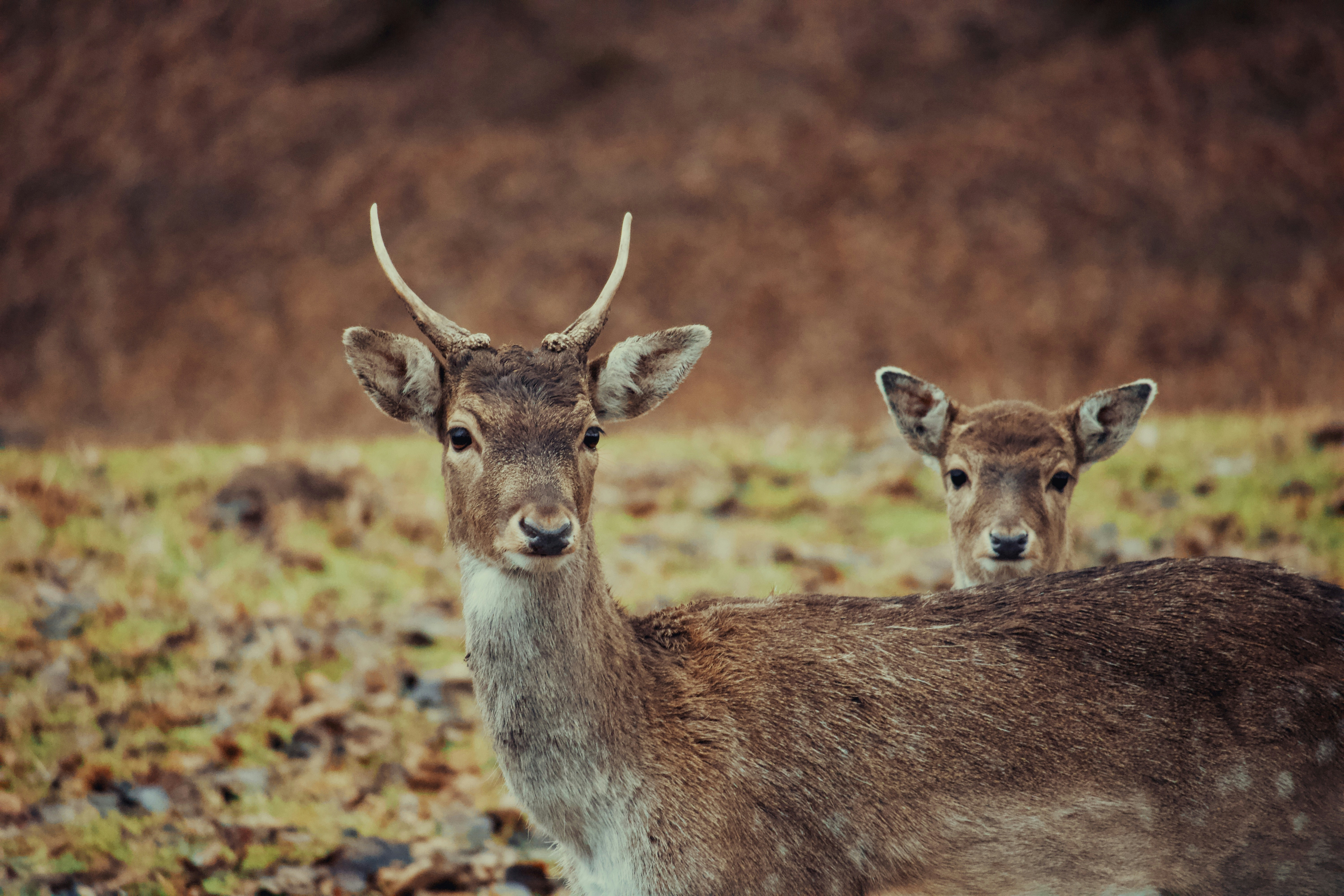 Photo by sveneisenschmidt