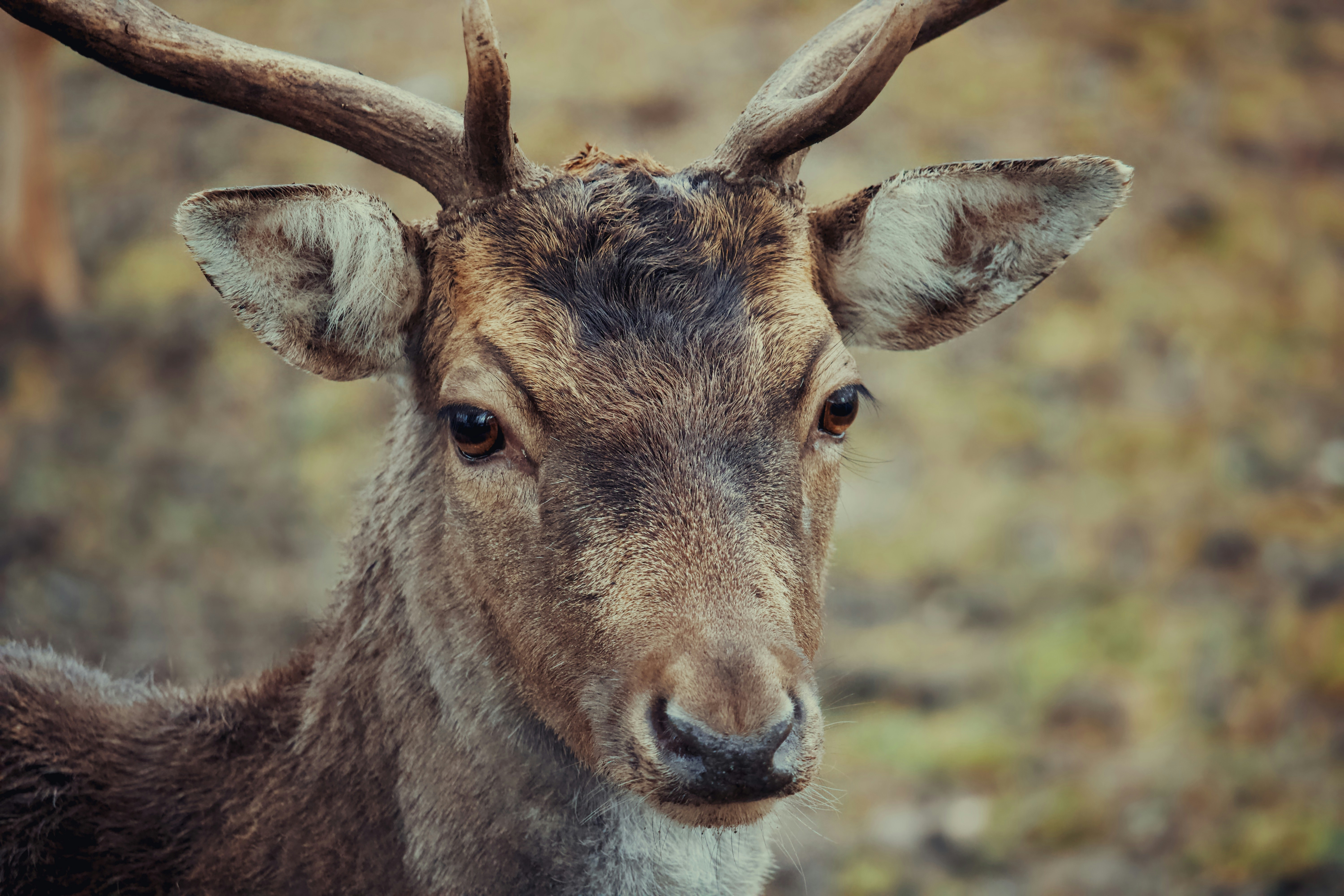 Photo by sveneisenschmidt