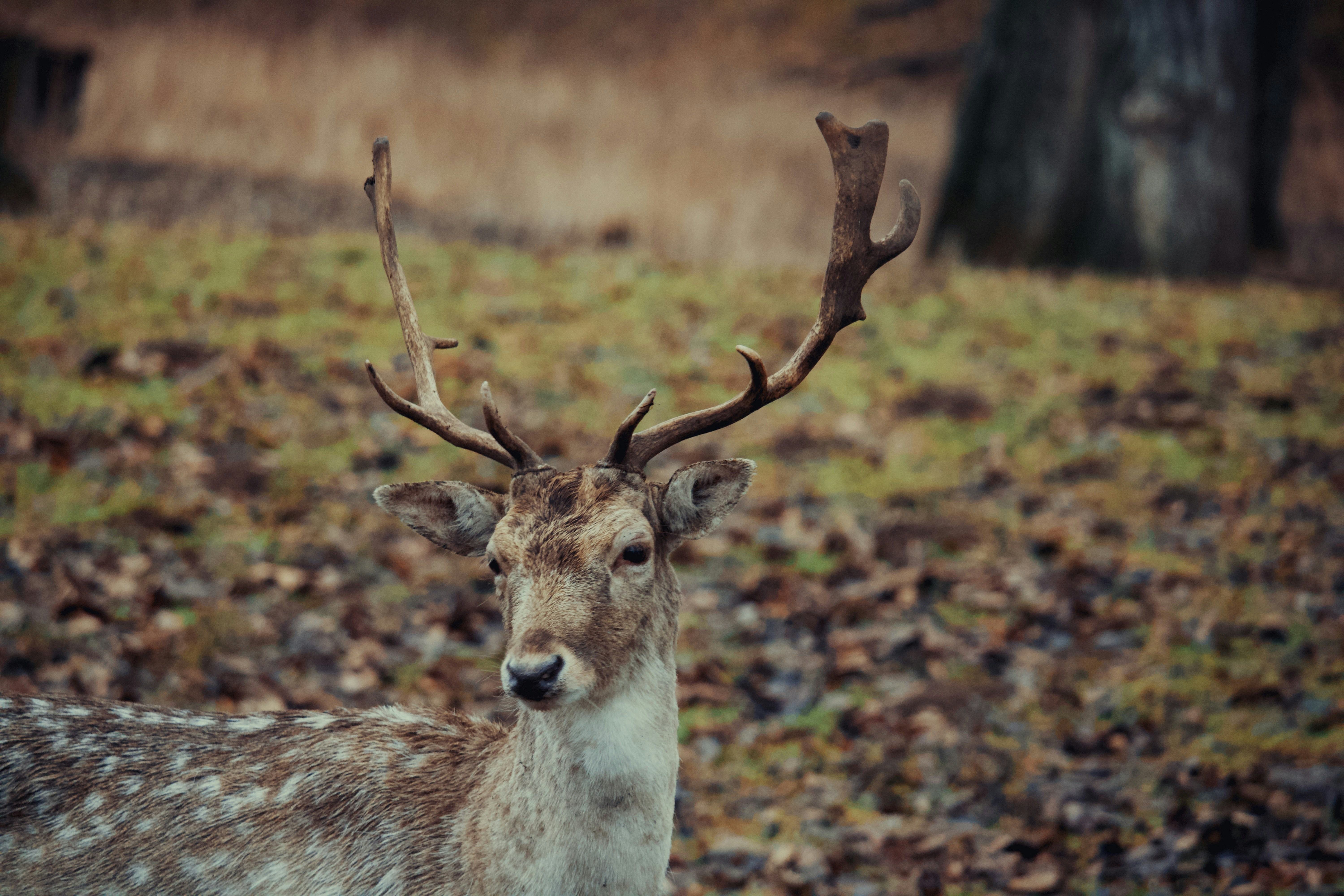 Photo by sveneisenschmidt