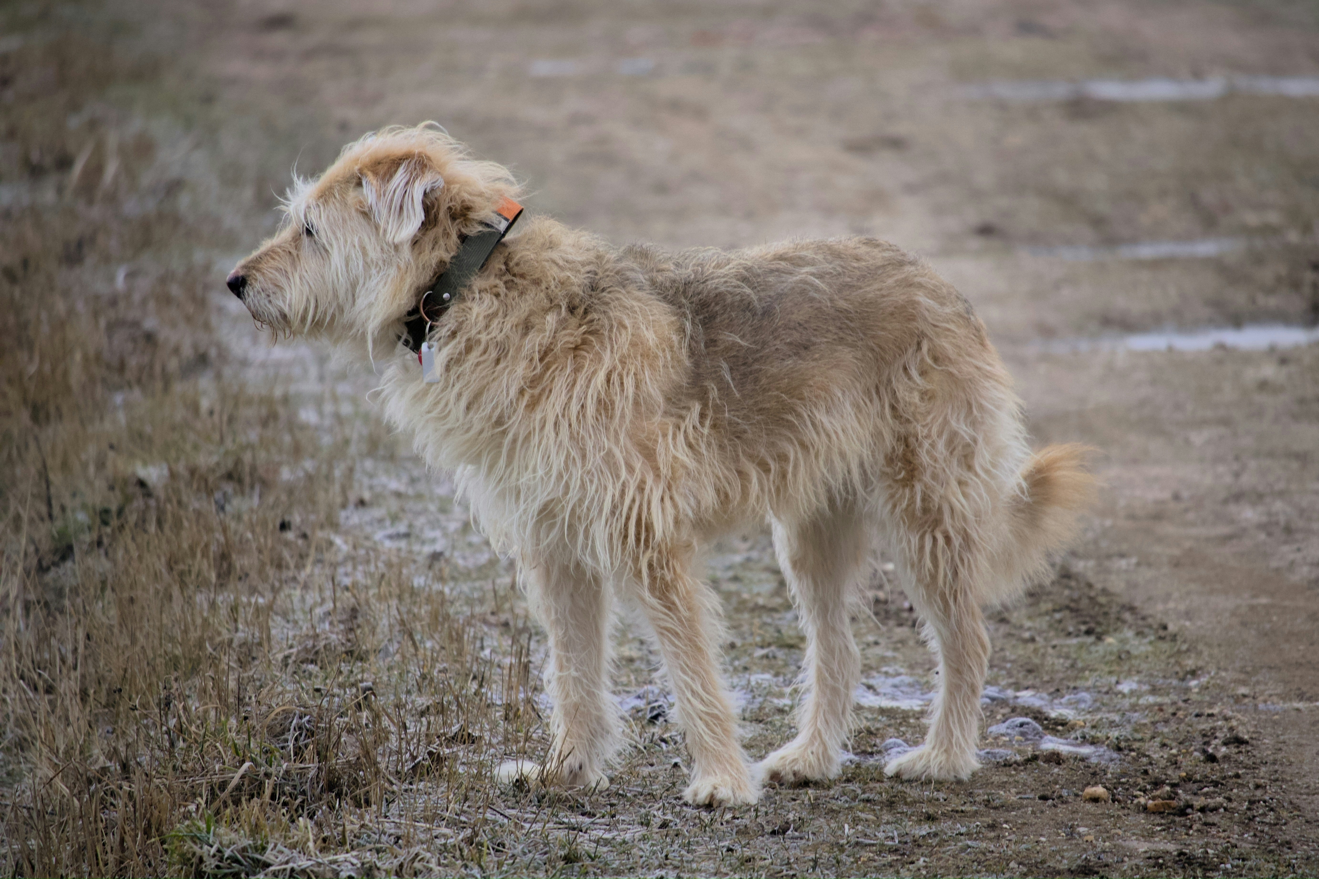 Photo by sveneisenschmidt