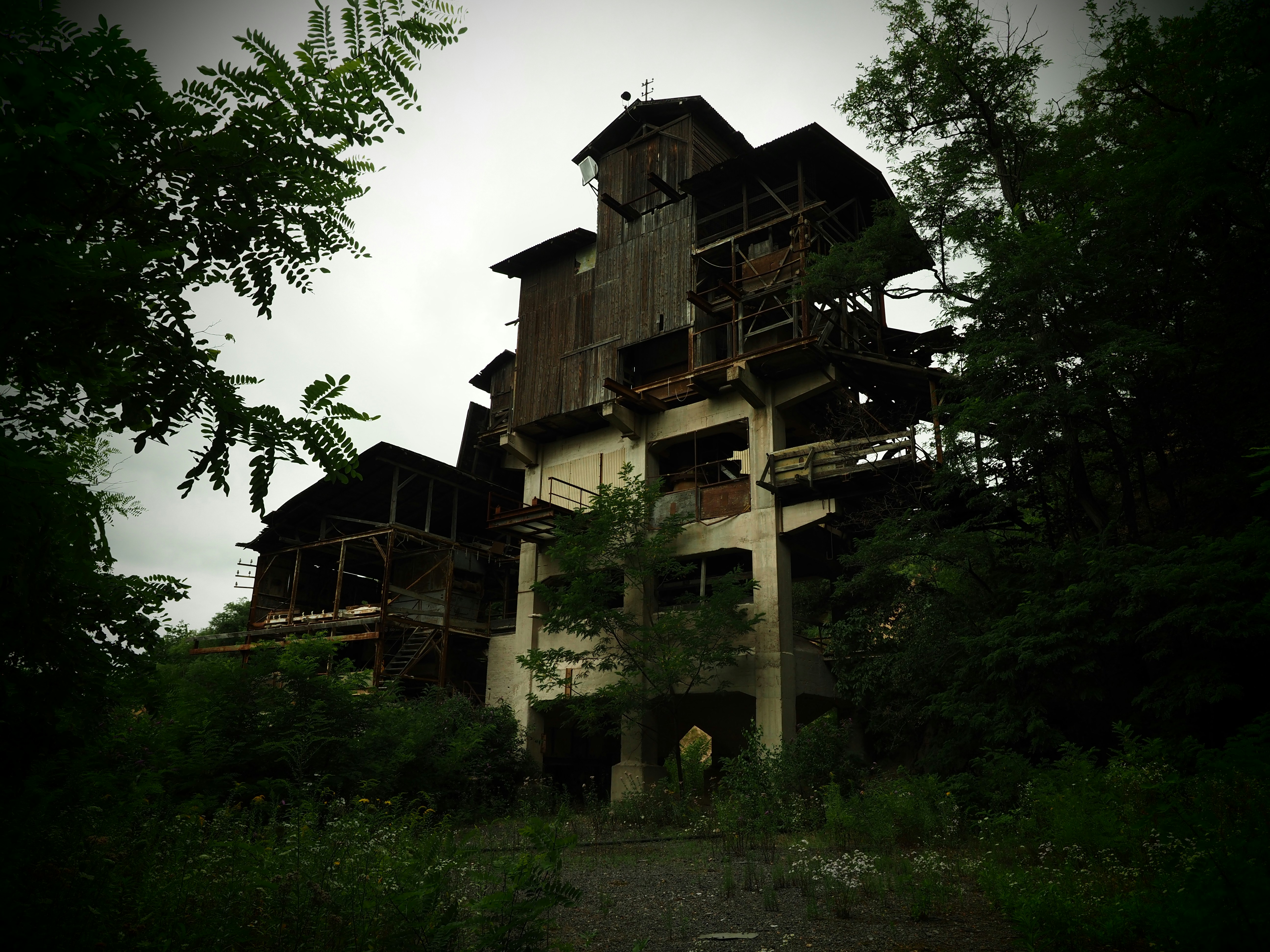 Bâtiment abandonné envahi par les arbres et la végétation