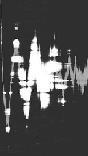 Abstract black and white light streaks