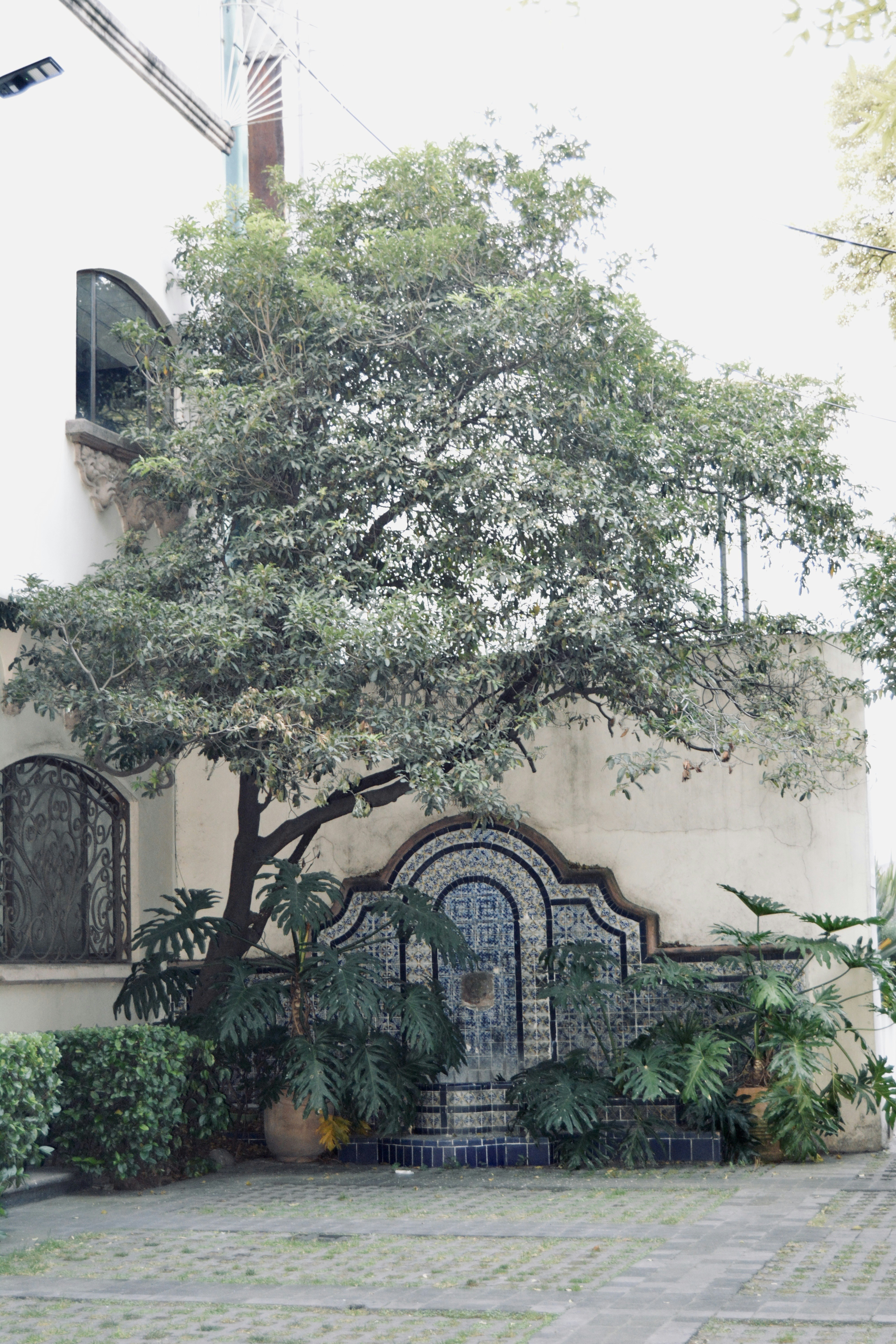 Photo by solmedoariza