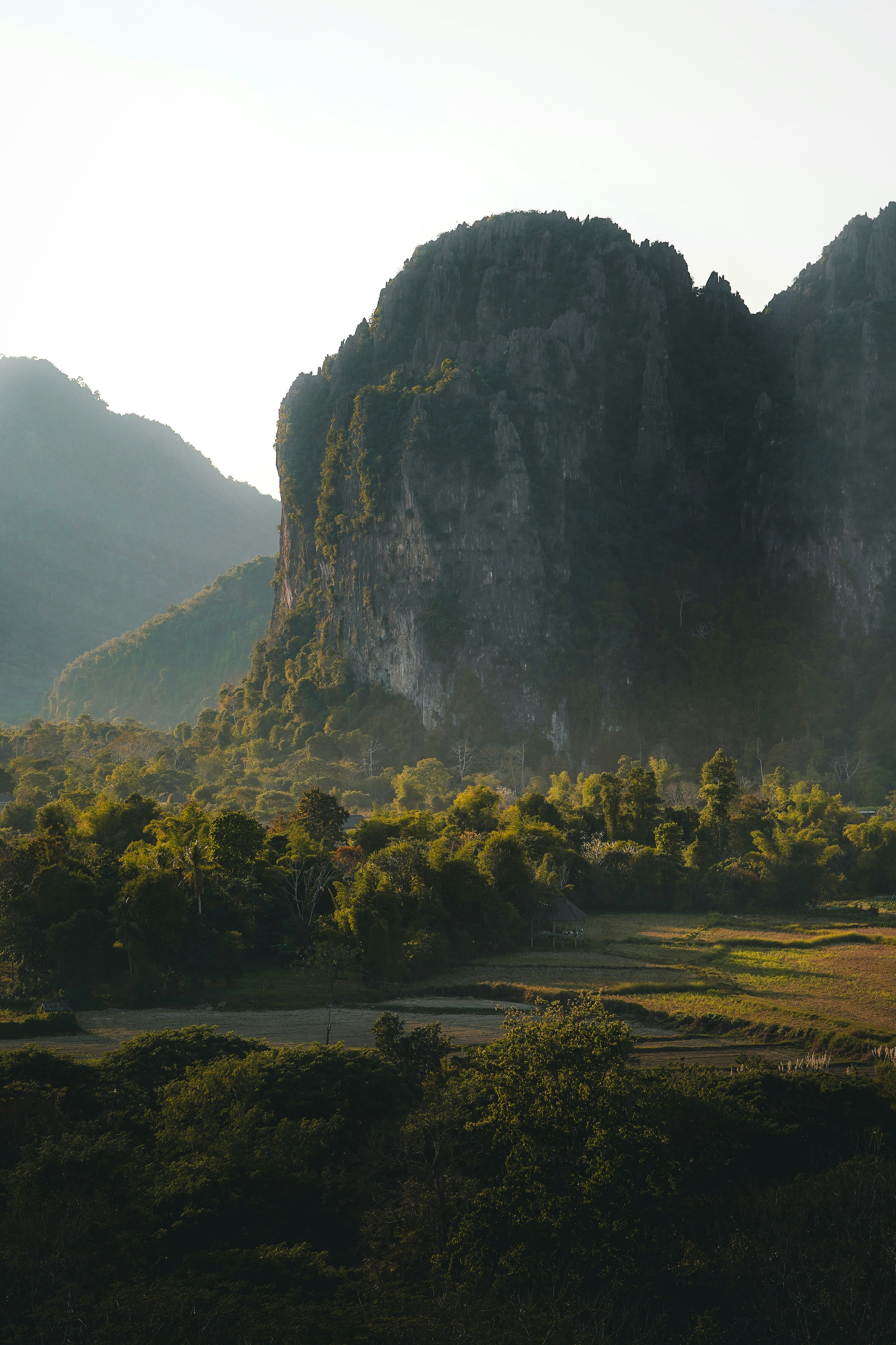 Lush green valley with a large rocky mountain
