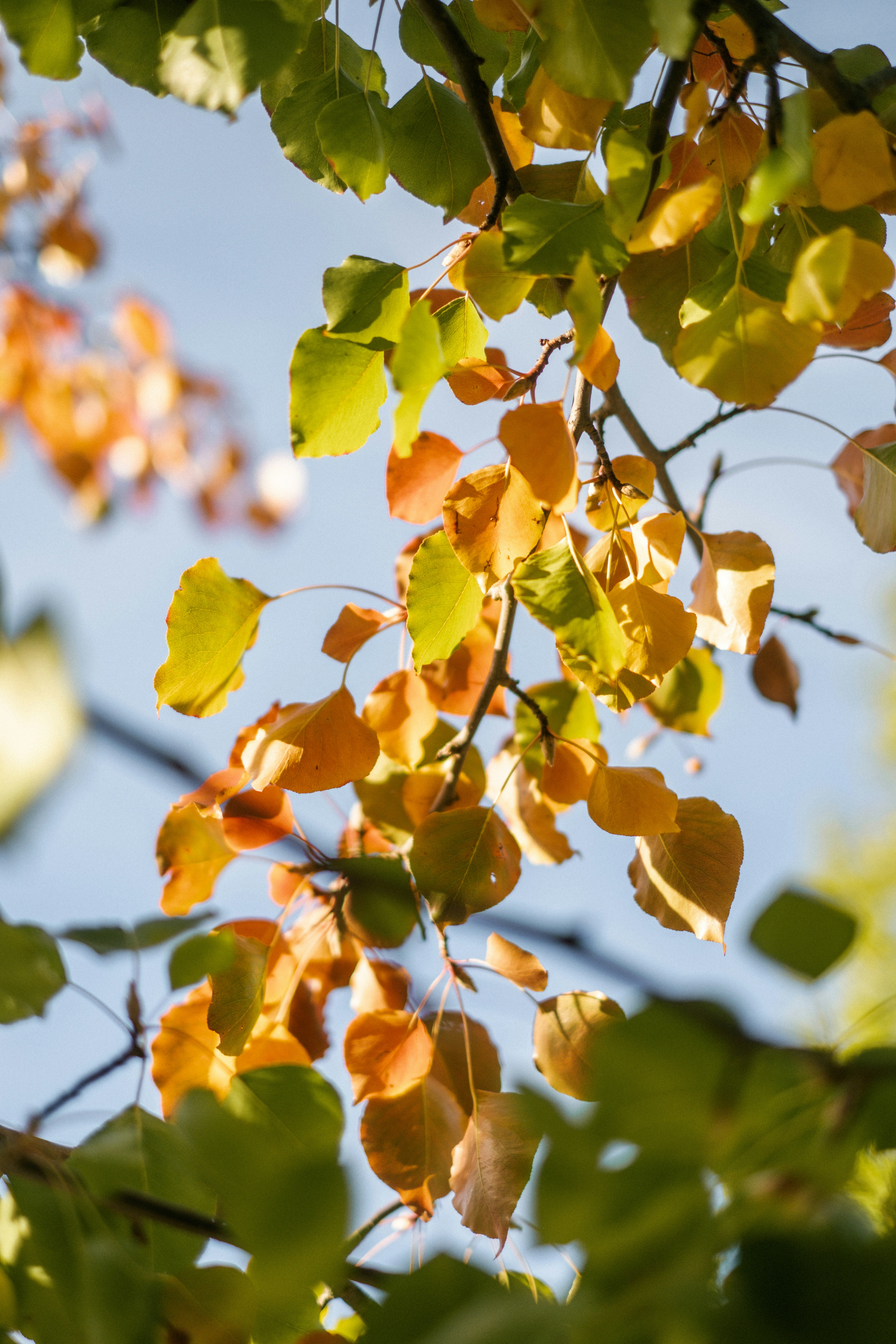 Photo by raegocreative