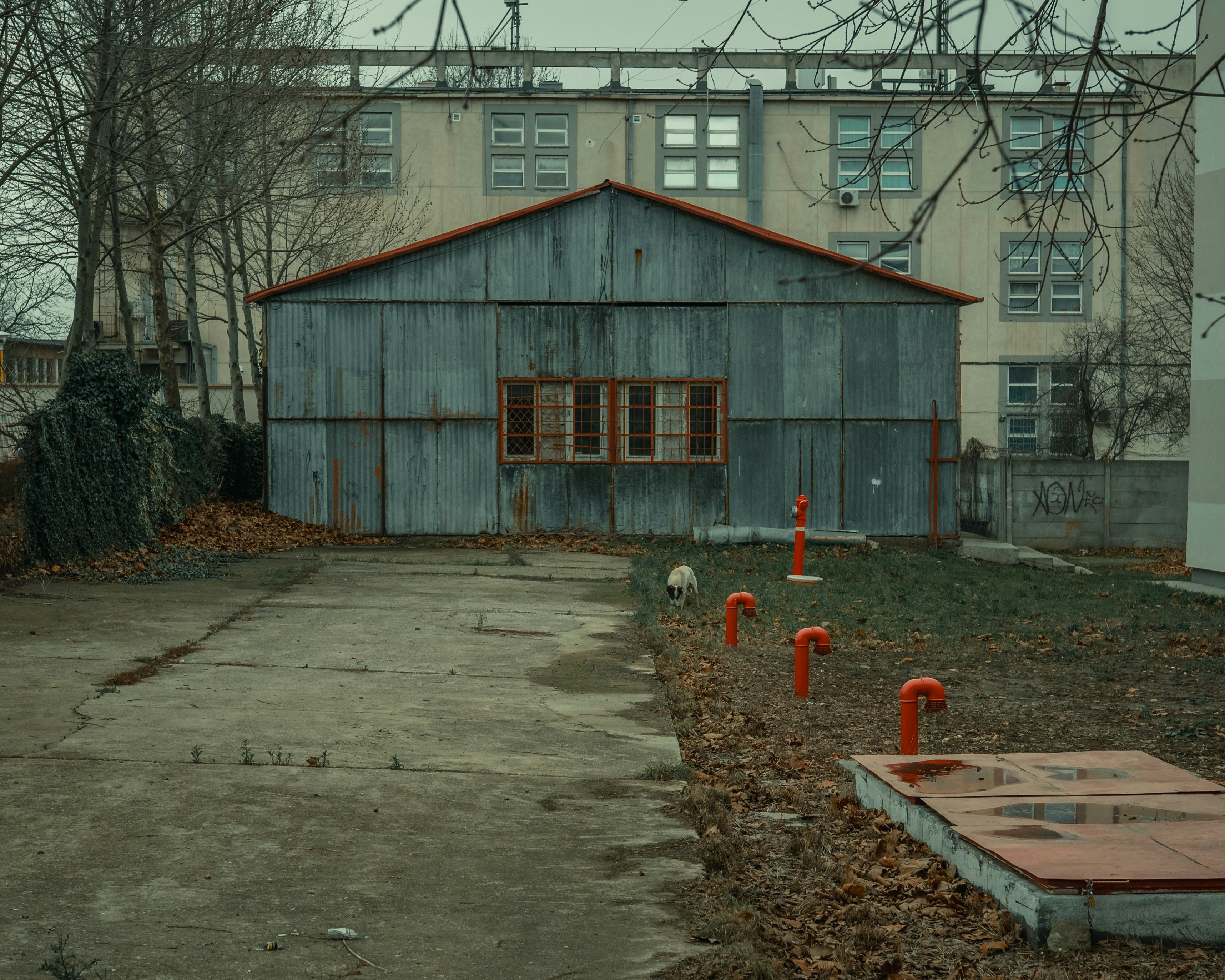 Culture et environnement : Tchernobyl hante encore nos écrans