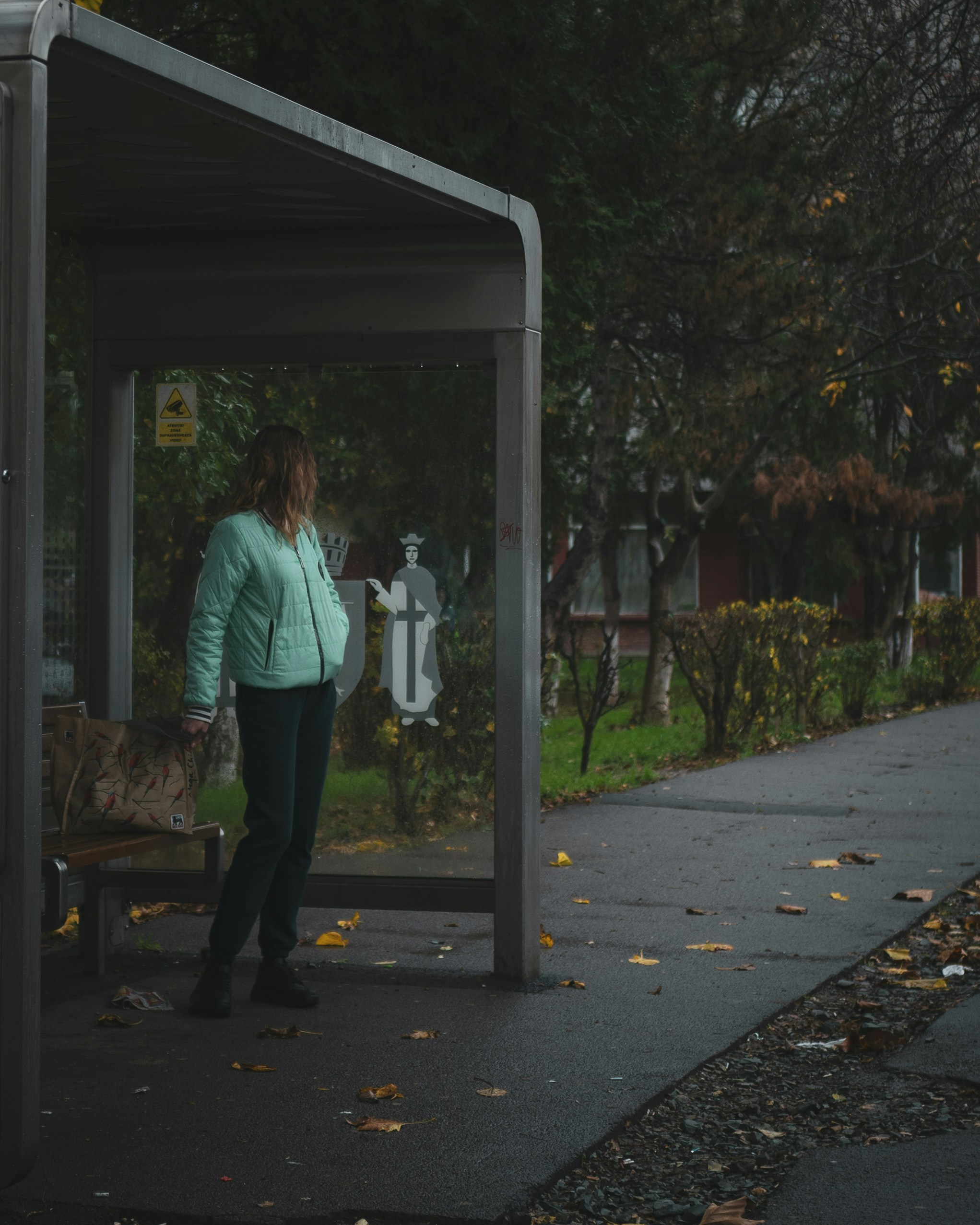 Woman waiting at a bus stop on a gloomy day.
