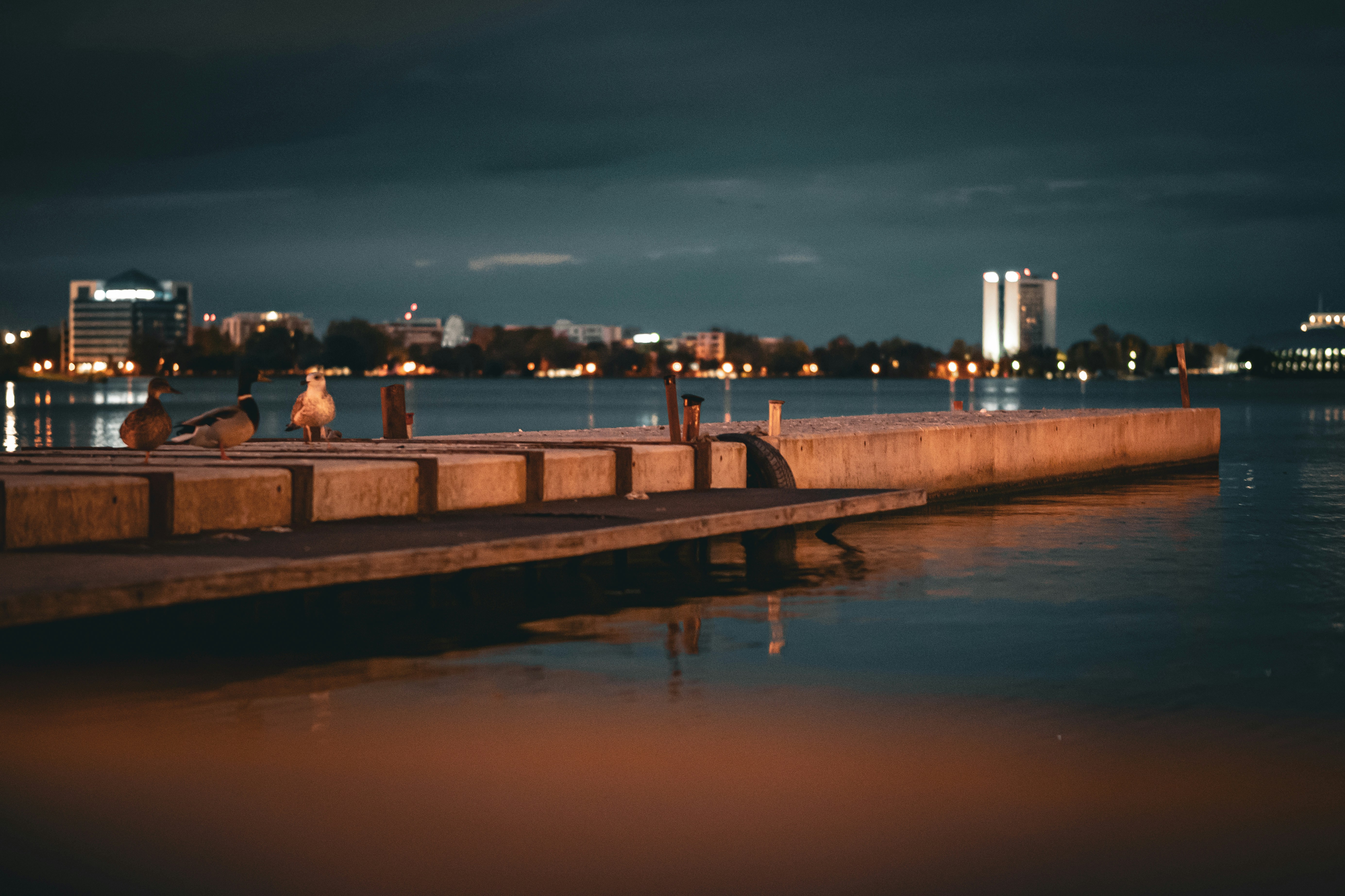 Photo by thewonderingvlad