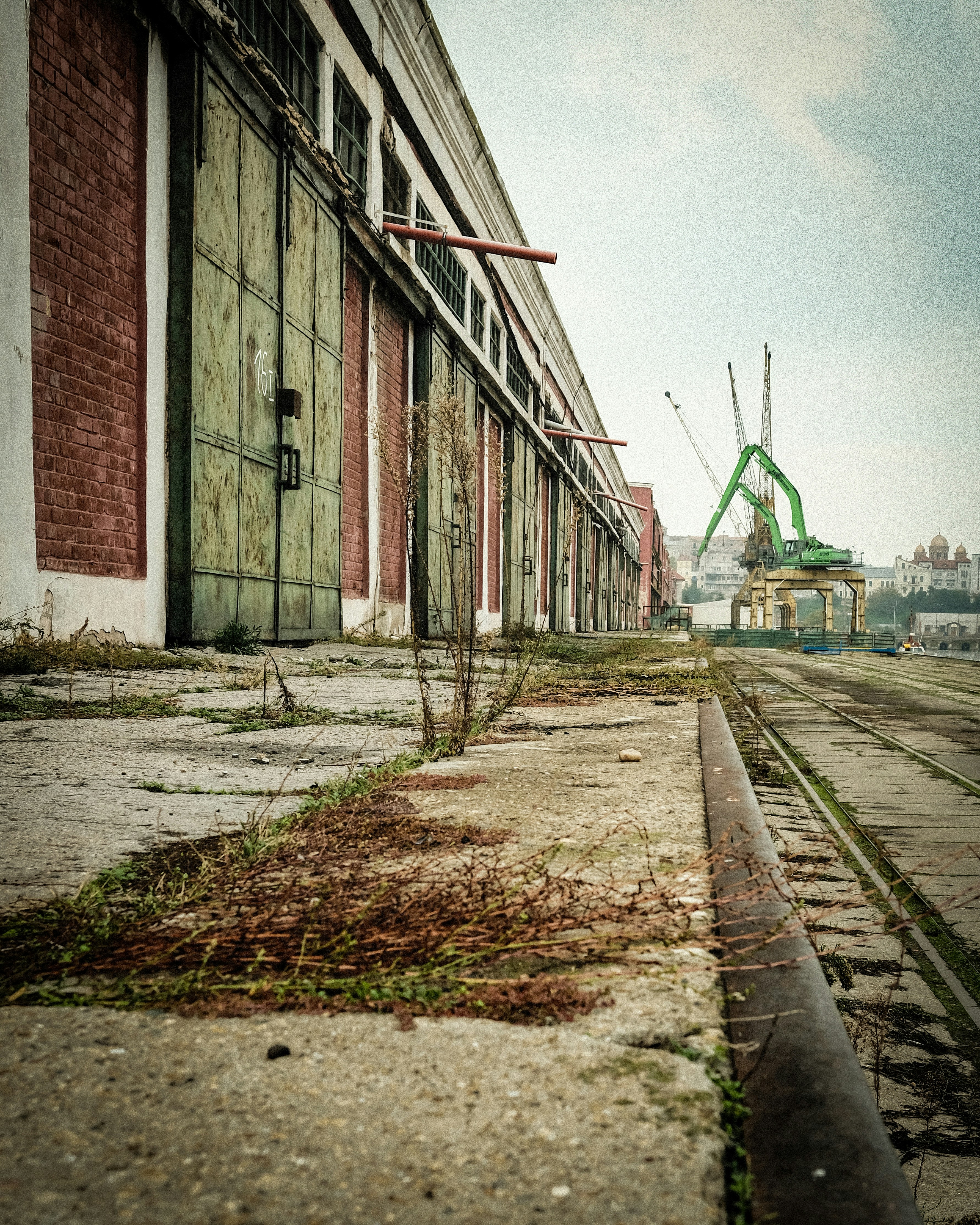 Photo by thewonderingvlad