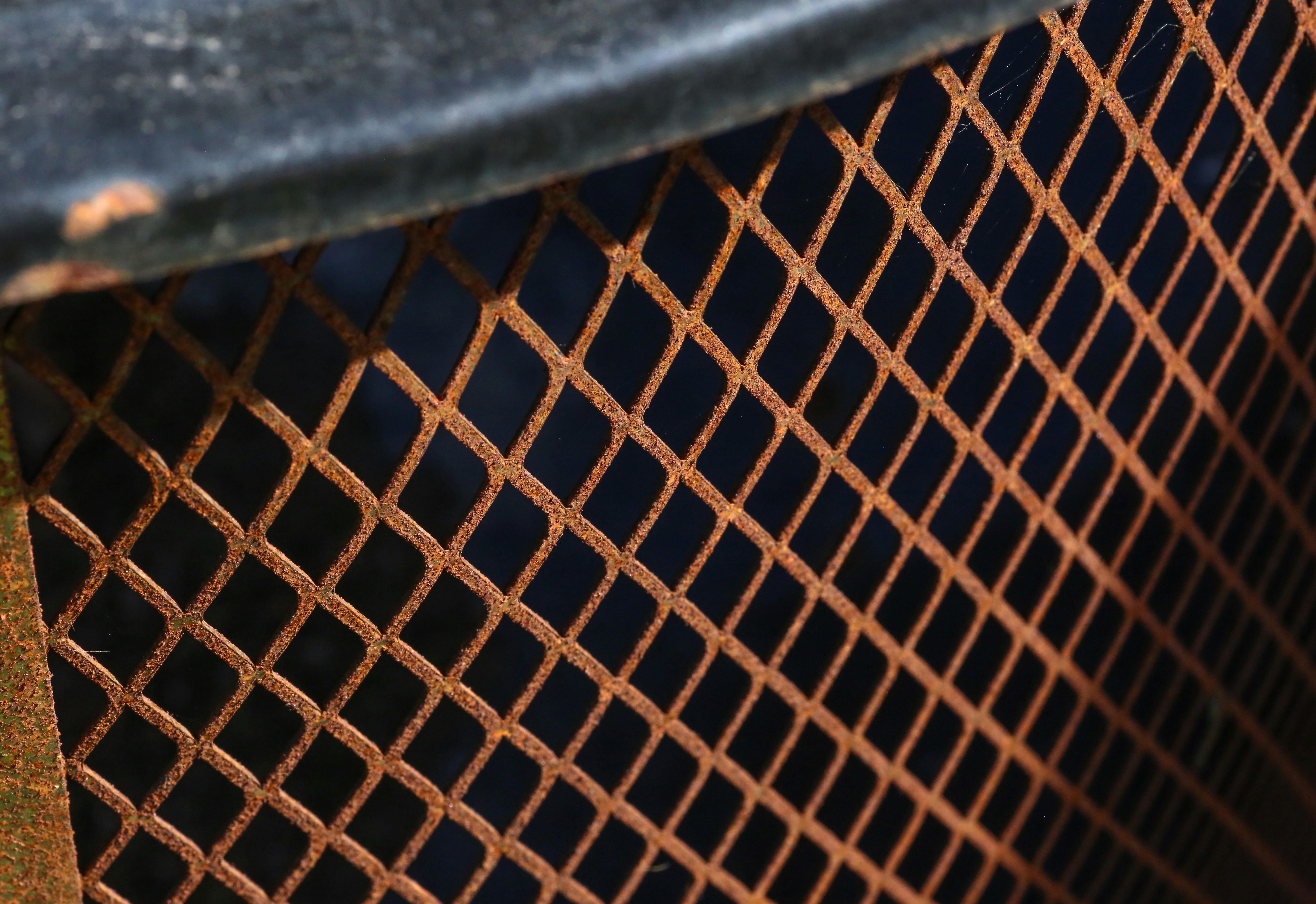 Photo by giorgiotrovato