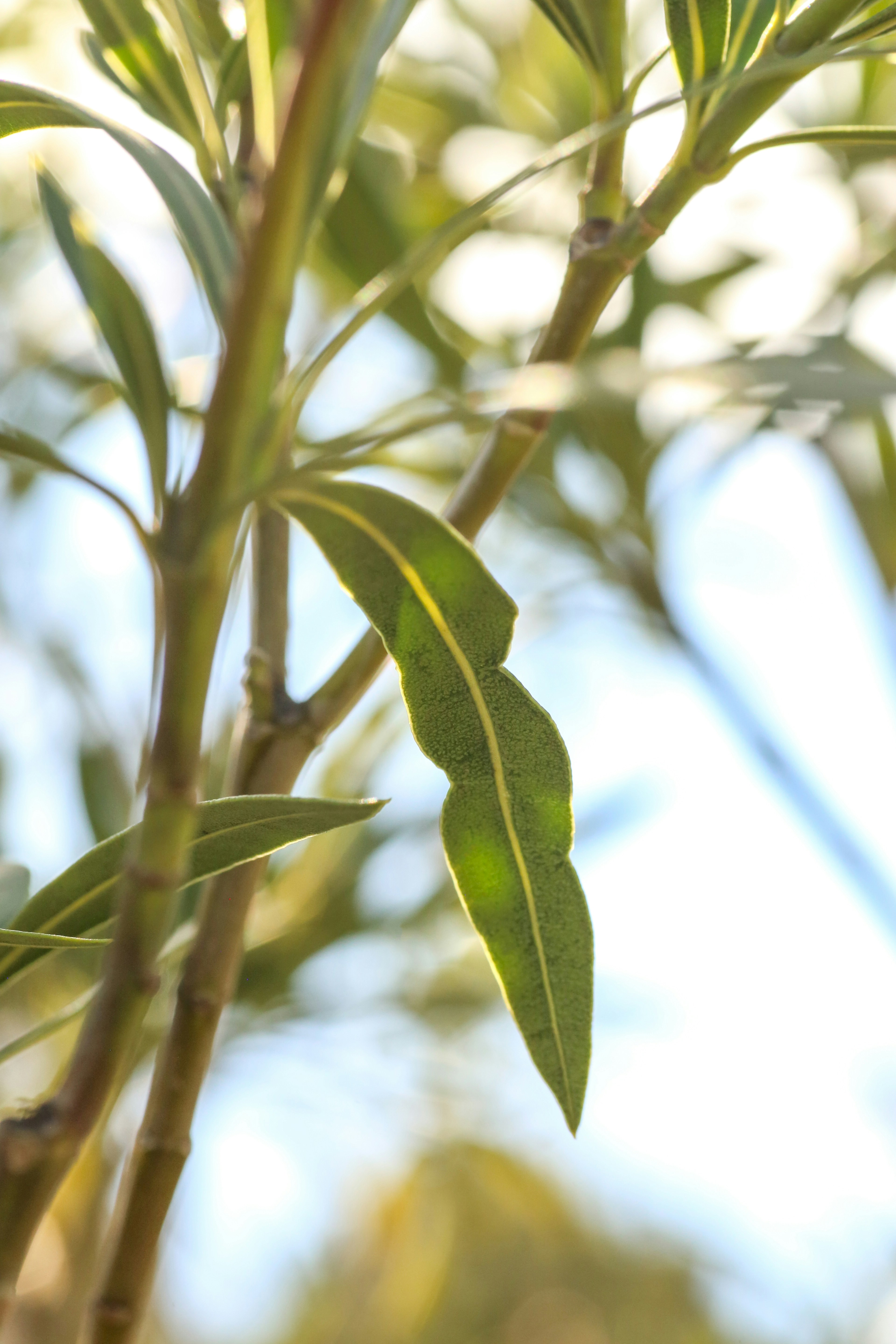 Photo by giorgiotrovato