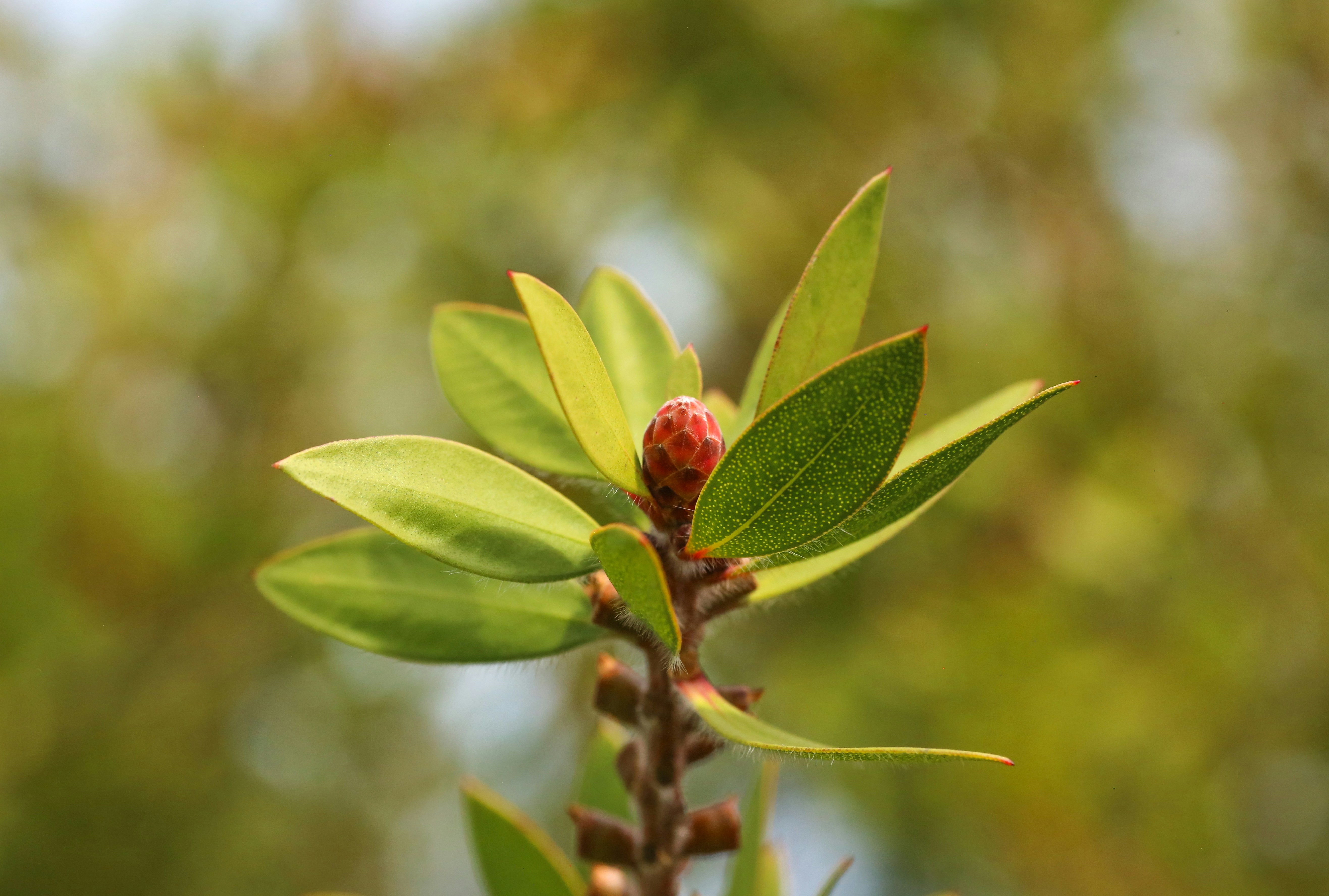 Photo by giorgiotrovato