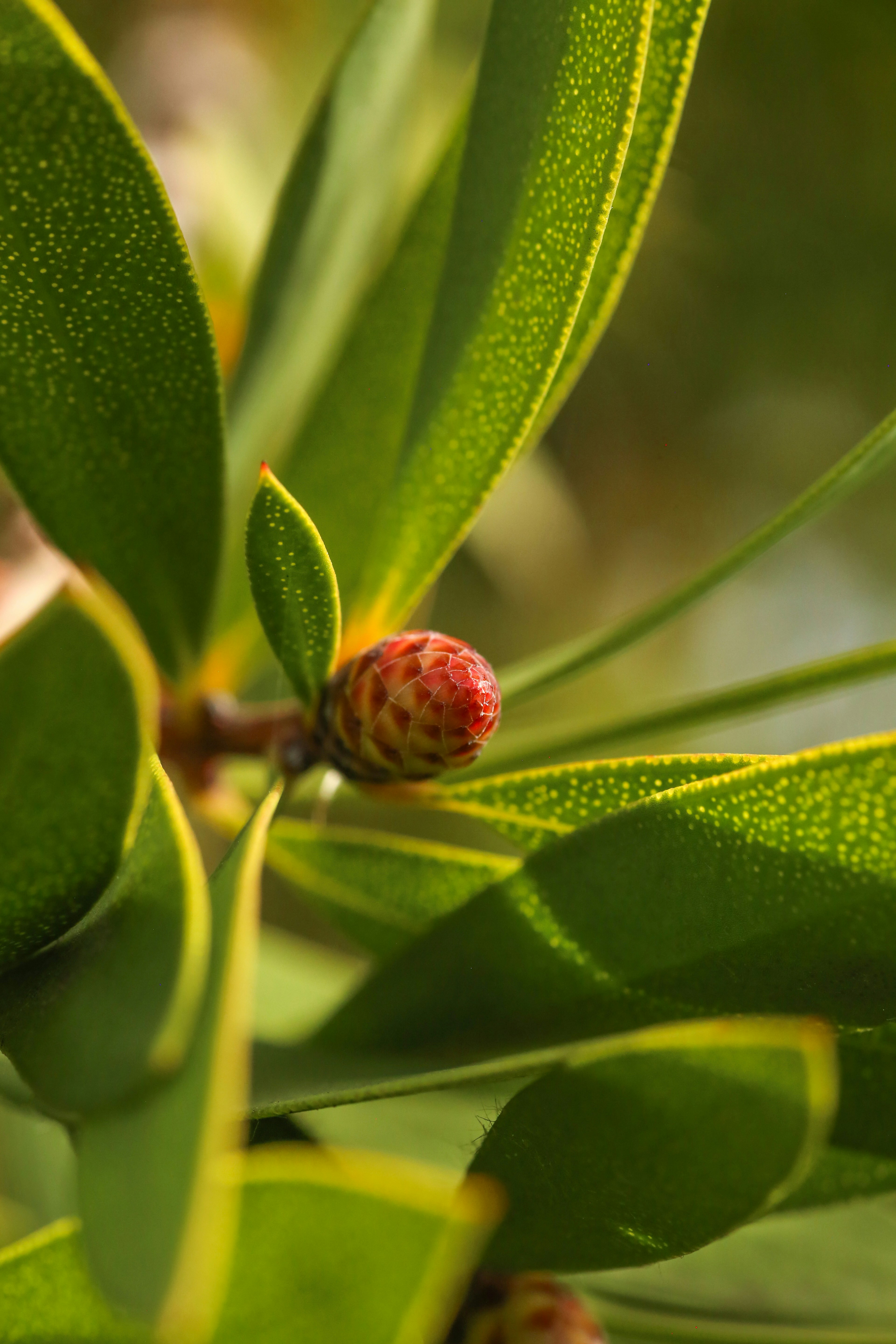 Photo by giorgiotrovato