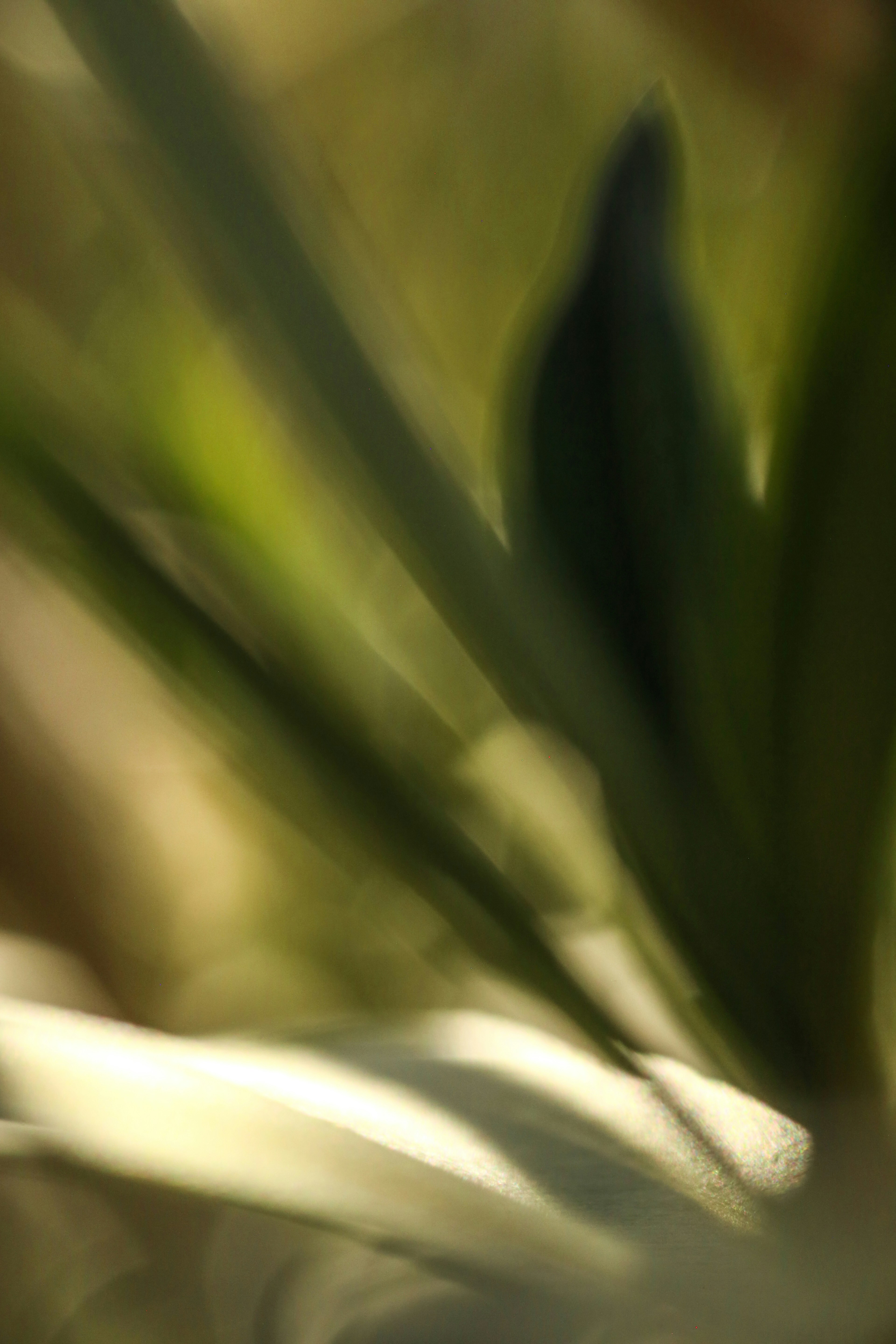 Photo by giorgiotrovato