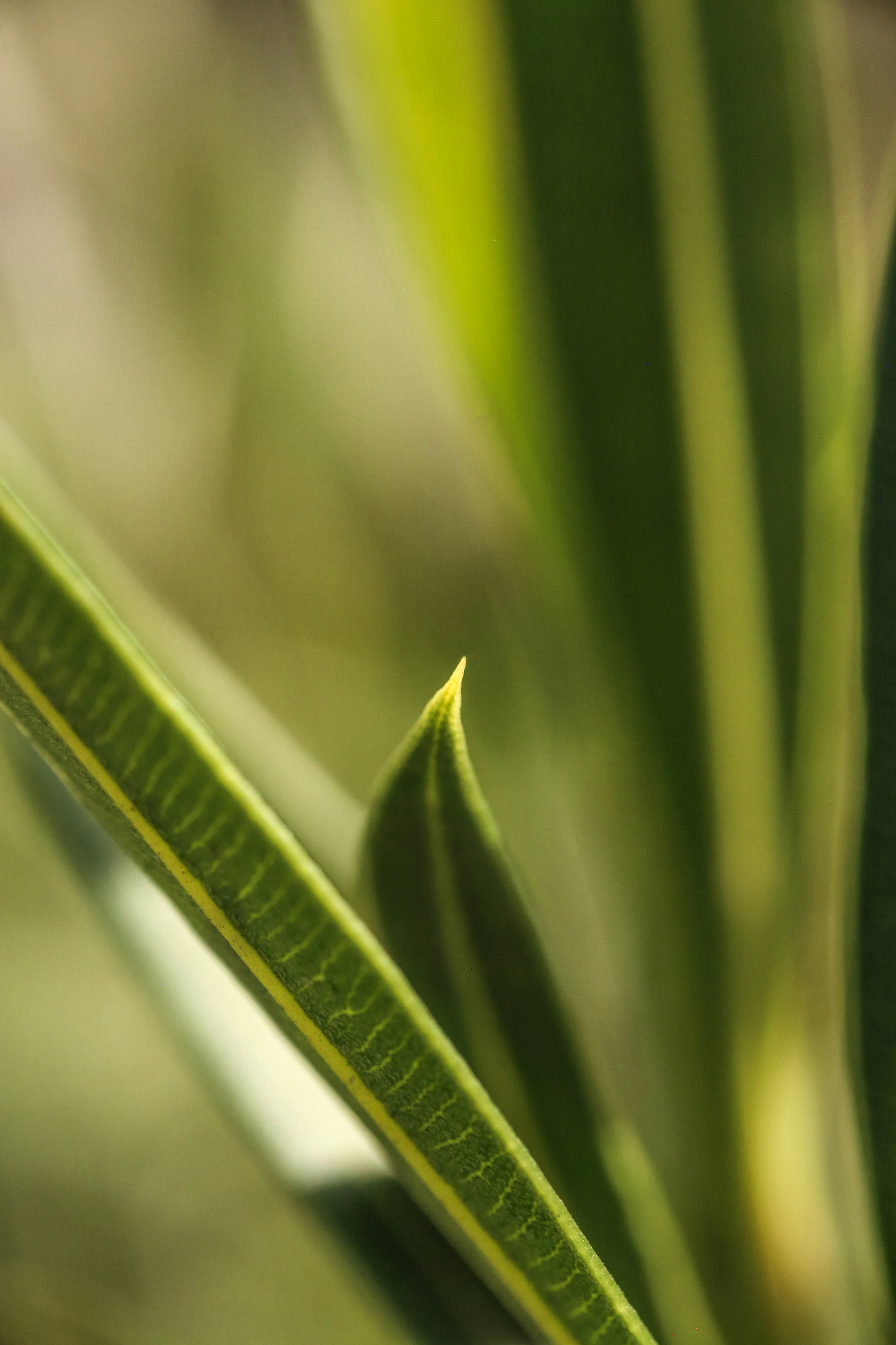 Photo by giorgiotrovato