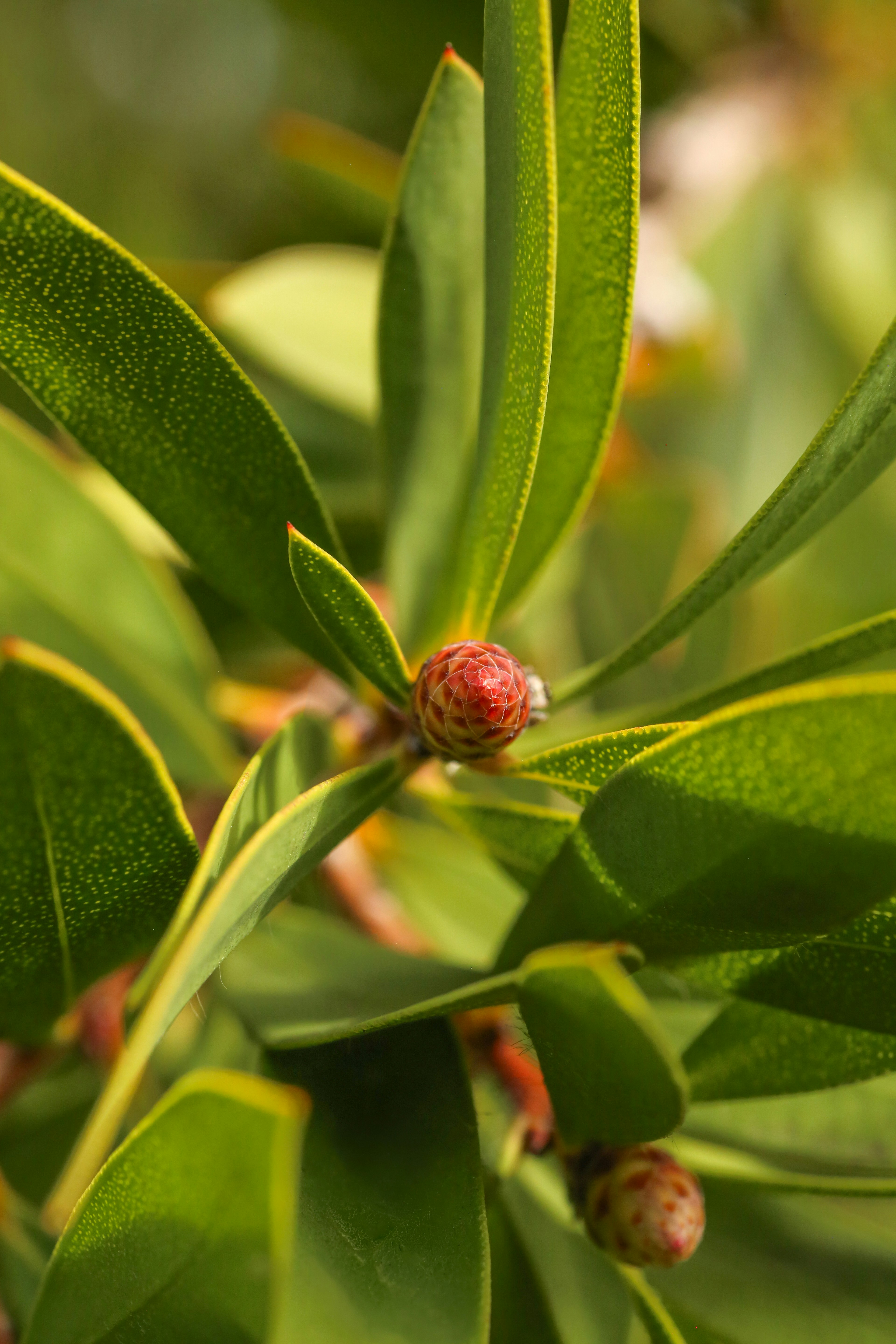 Photo by giorgiotrovato