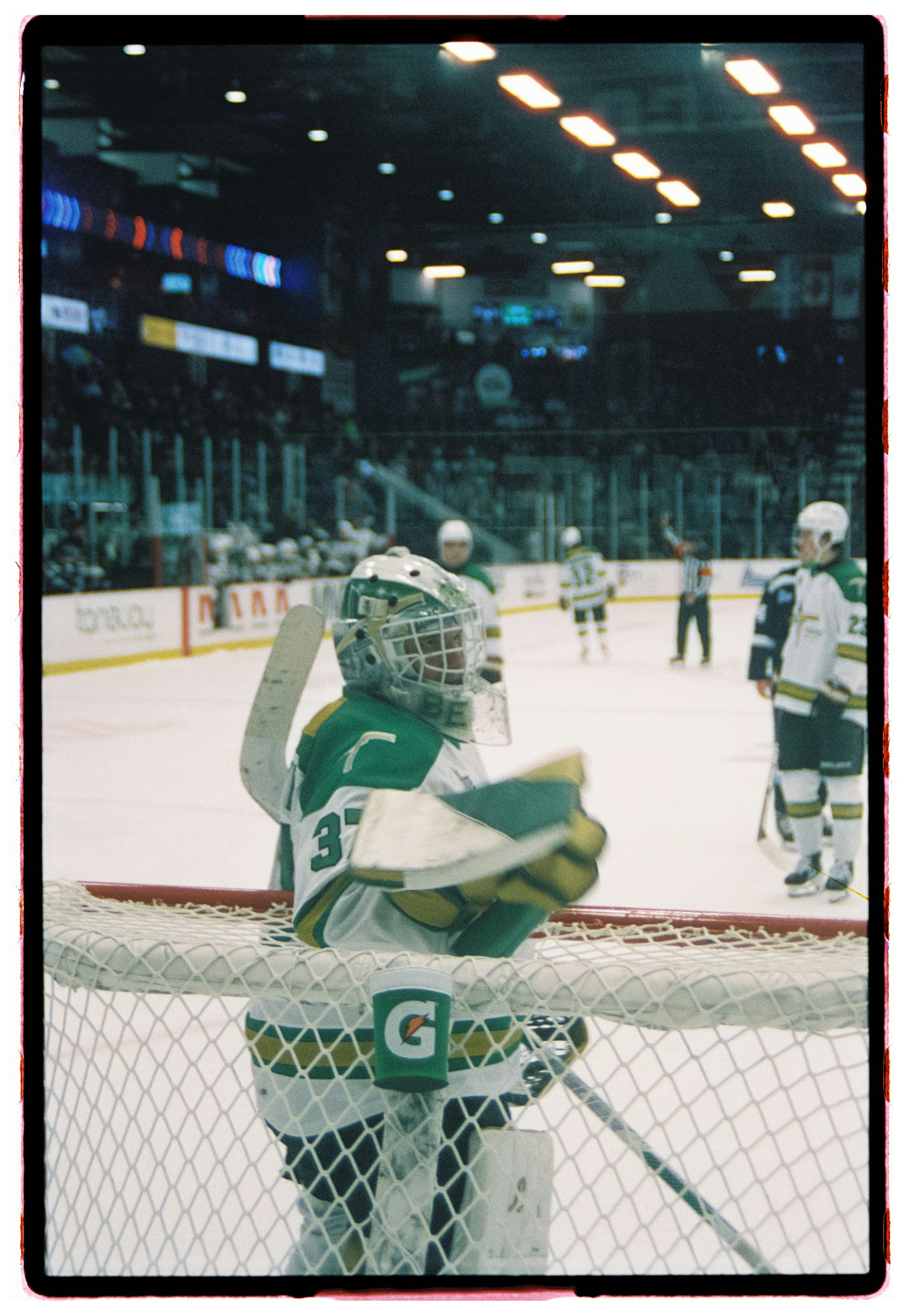 Hockey goalie in net during a game
