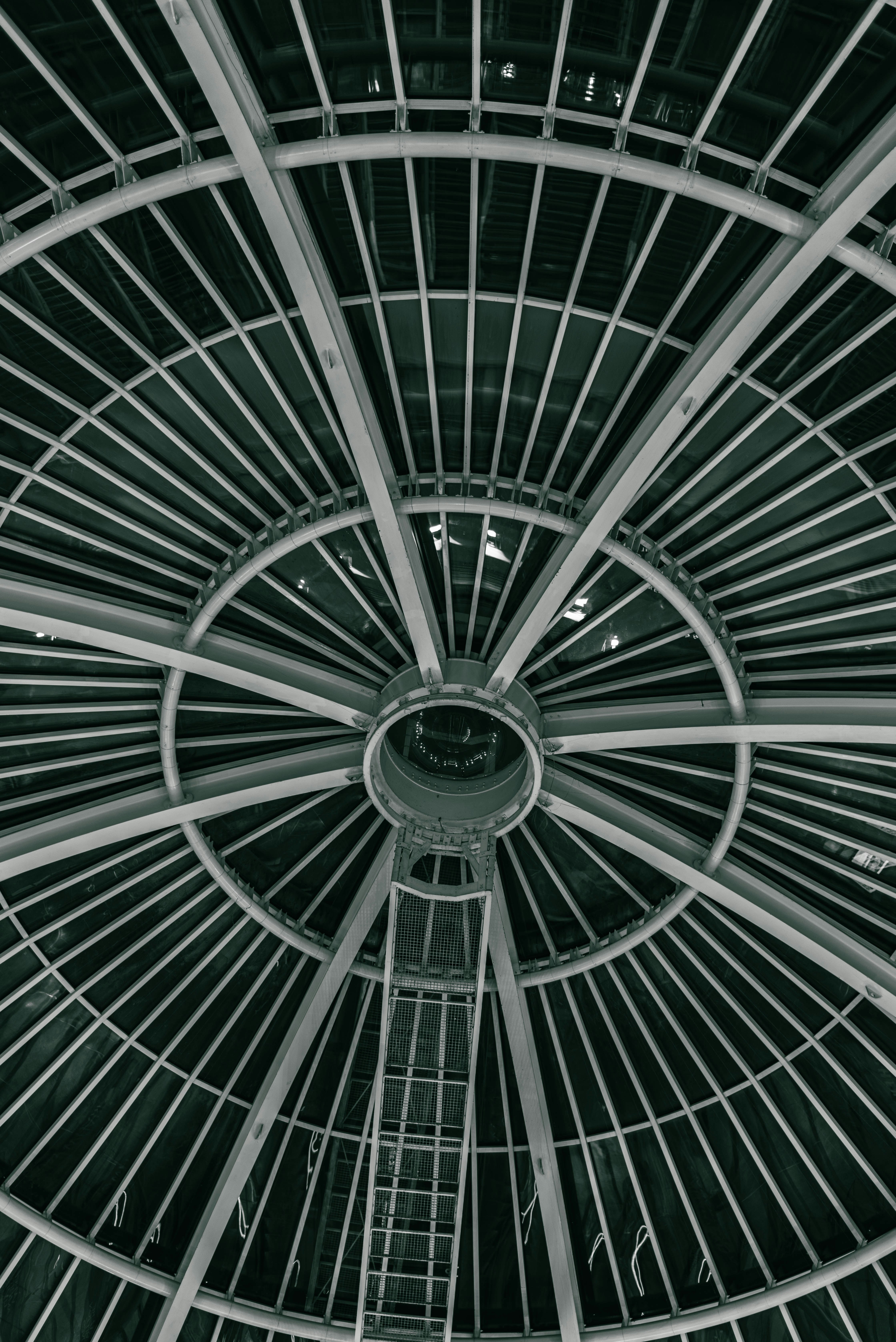 Photo by david_garrick_bangbola