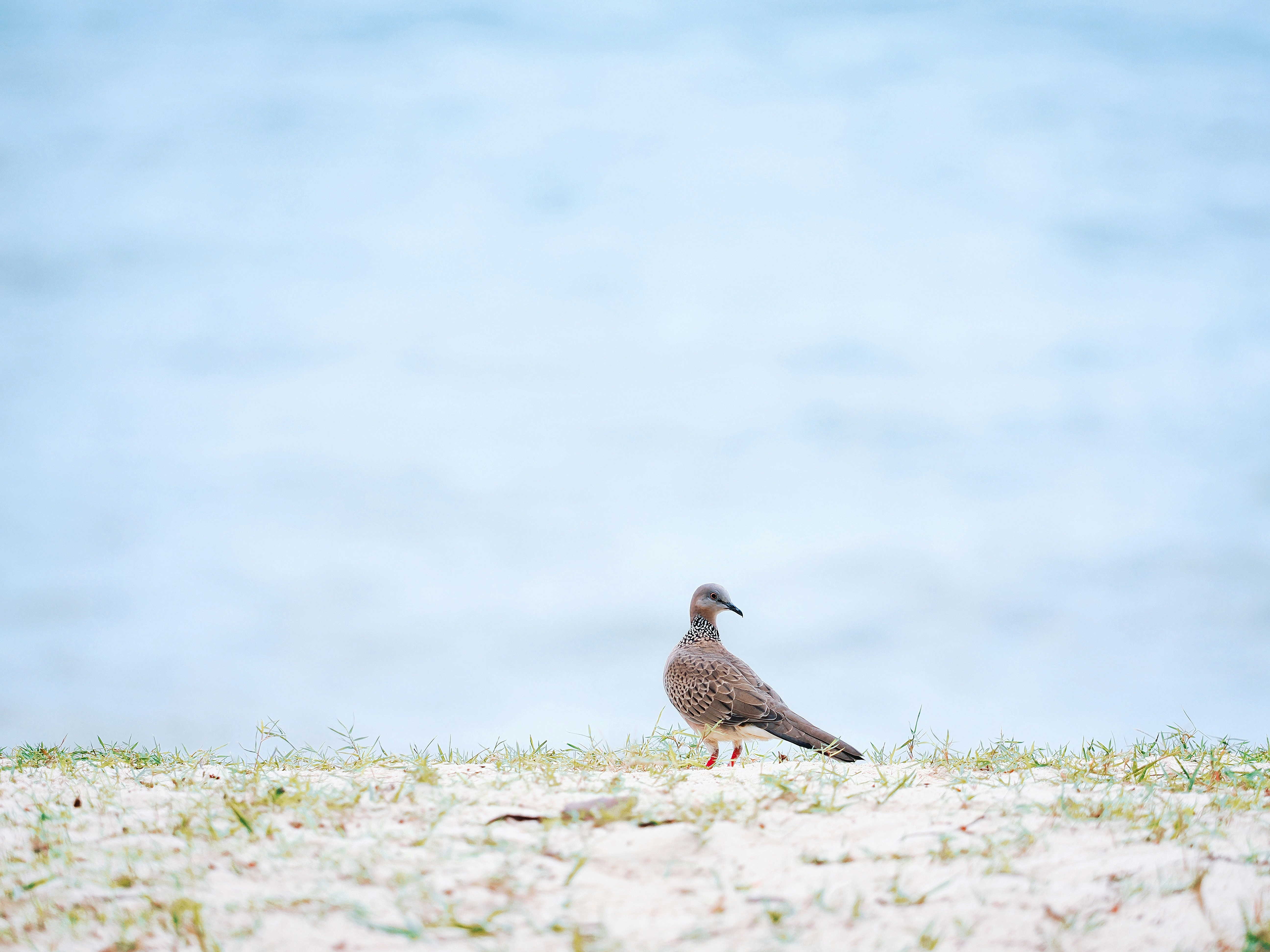 Photo by liliantruong2603