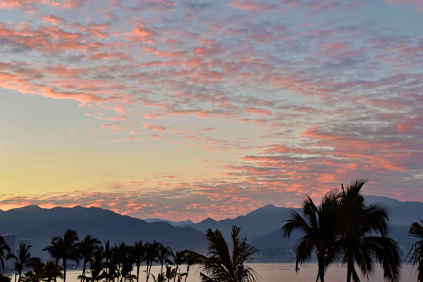 Experiencia en Pier 69 Vallarta