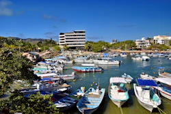 Punta Mita Boats moored in a sunny harbor with buildings behind