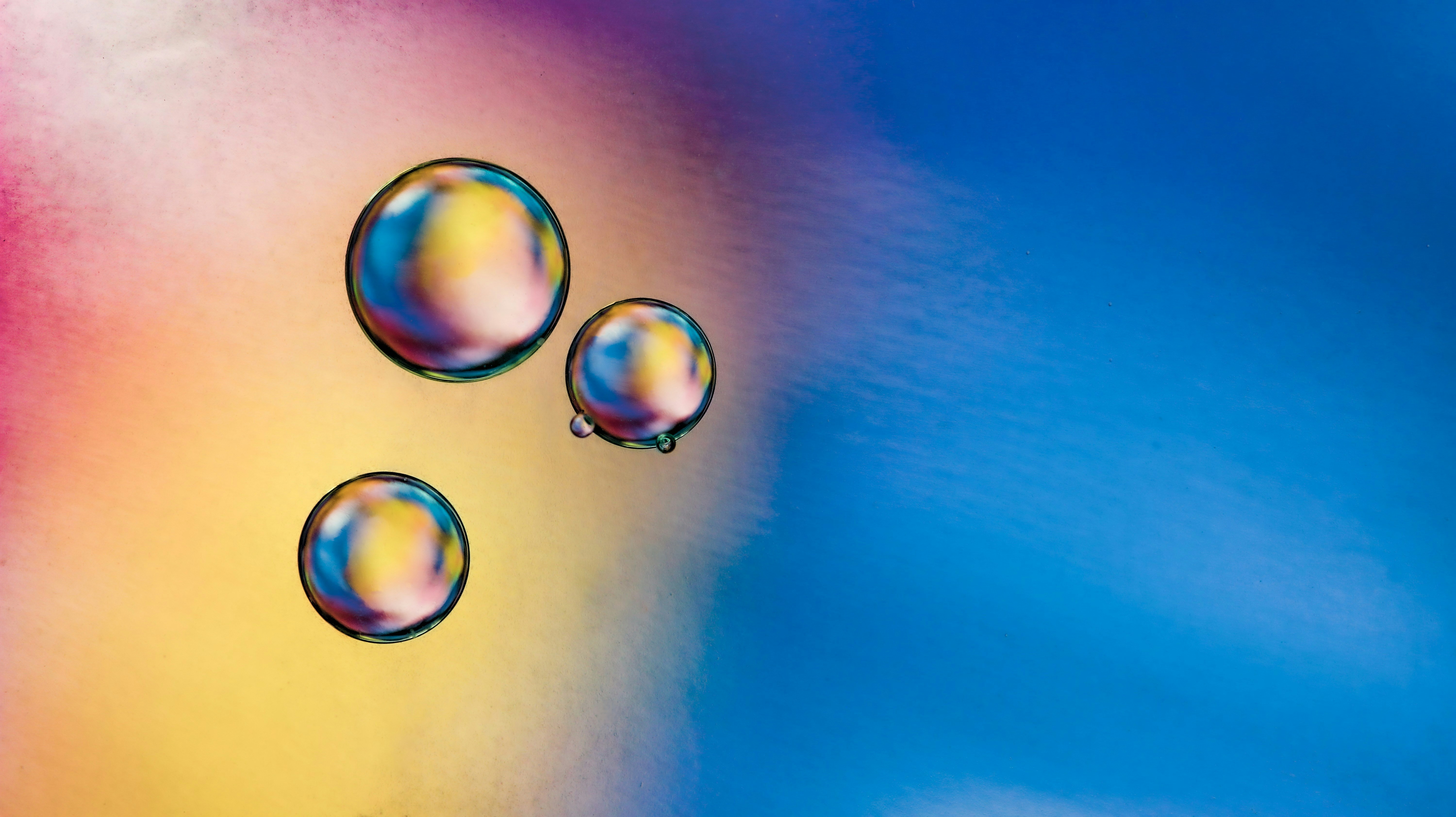 Photo by susan_wilkinson