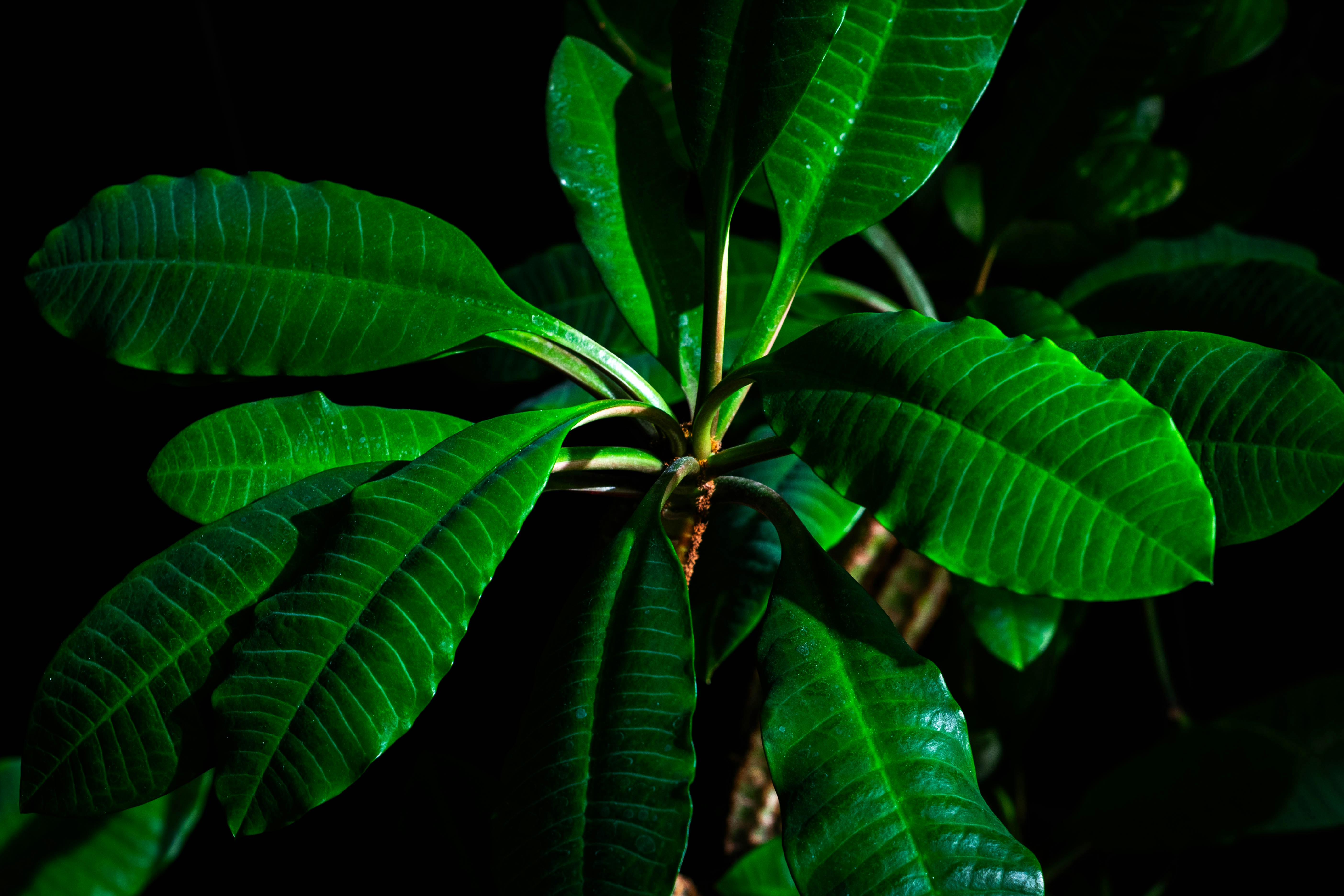 Photo by andrew_bright