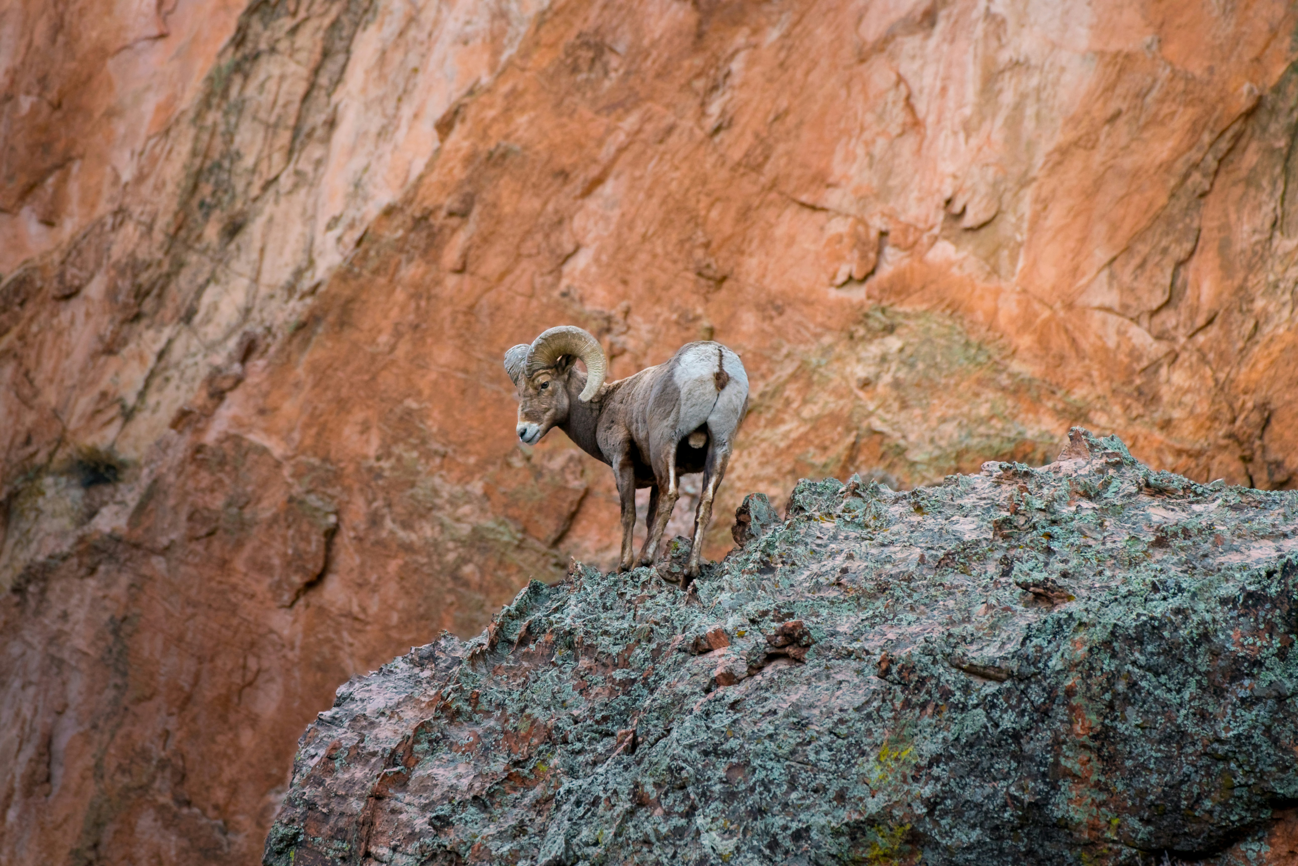 Photo by danielforsterphoto