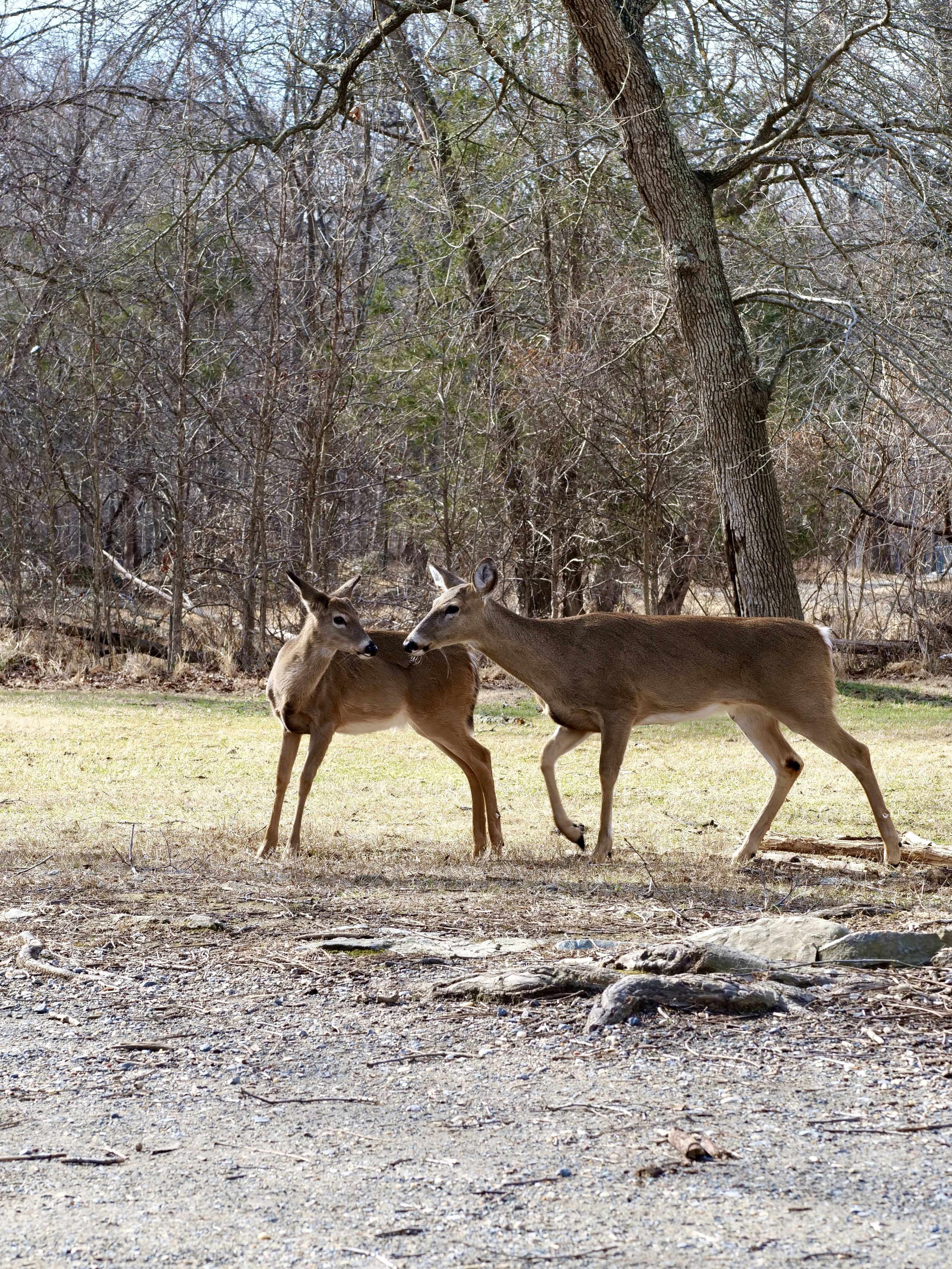 Photo by sschusterphotoart