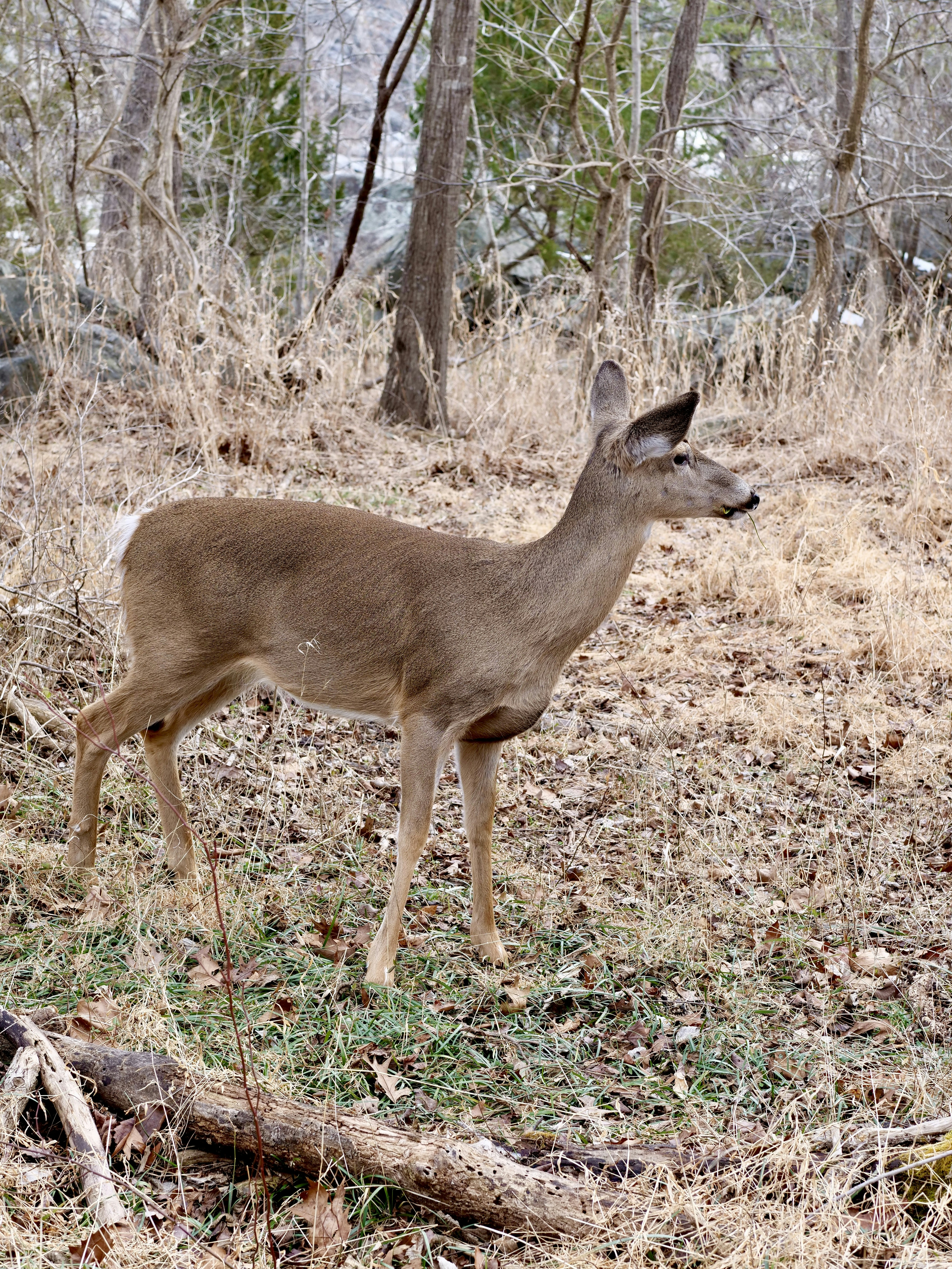 Photo by sschusterphotoart