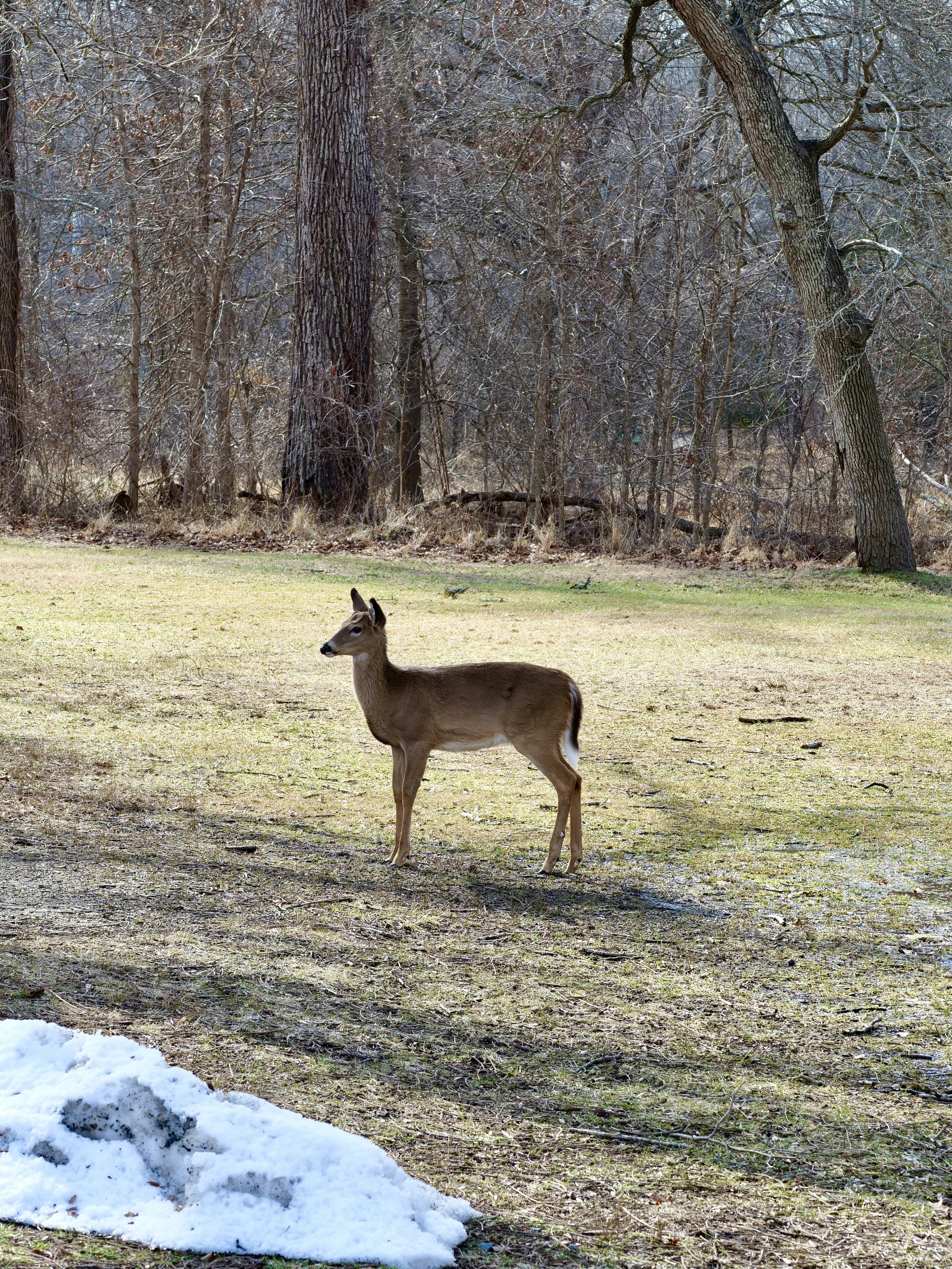Photo by sschusterphotoart