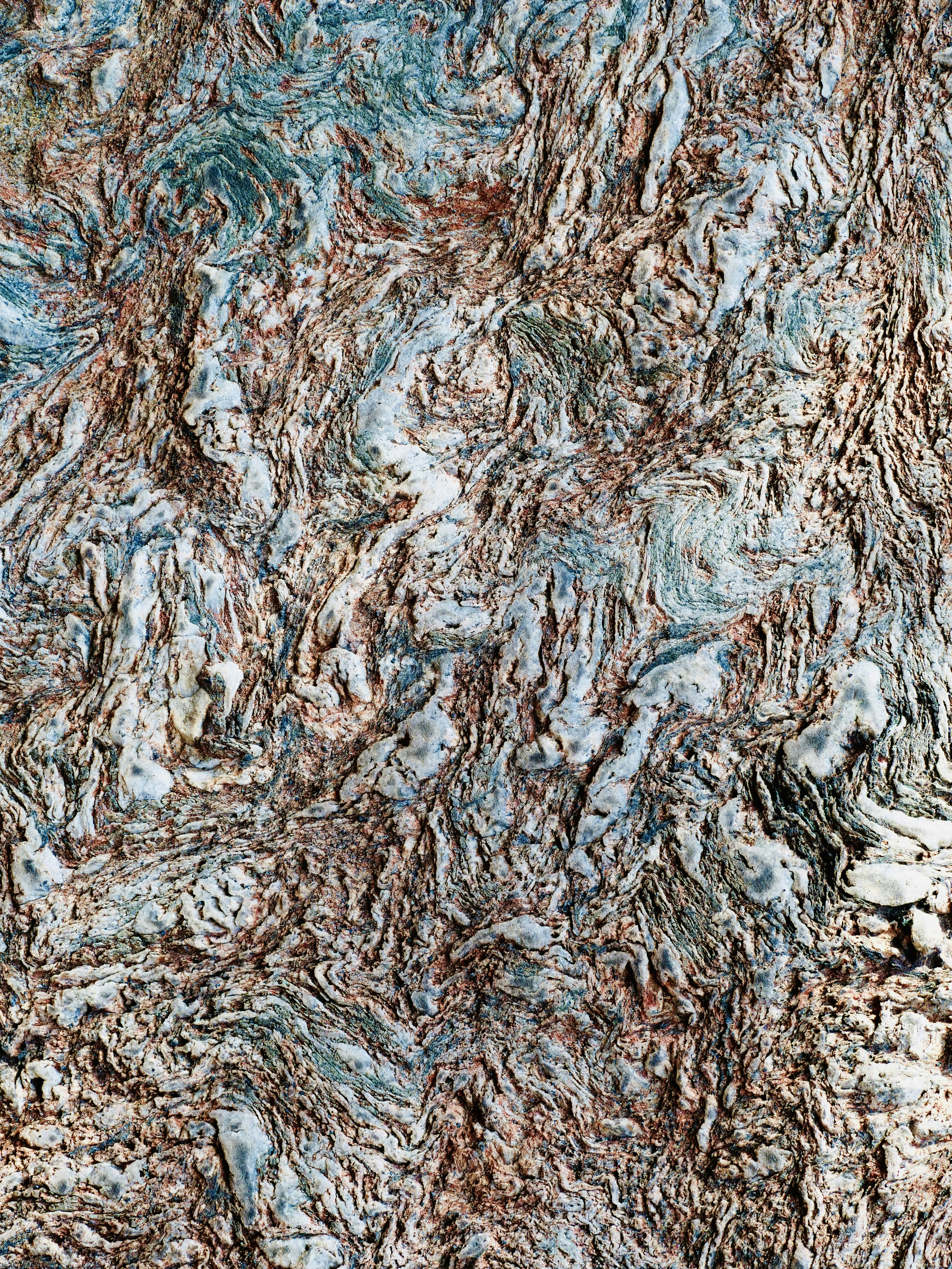 Photo by sschusterphotoart