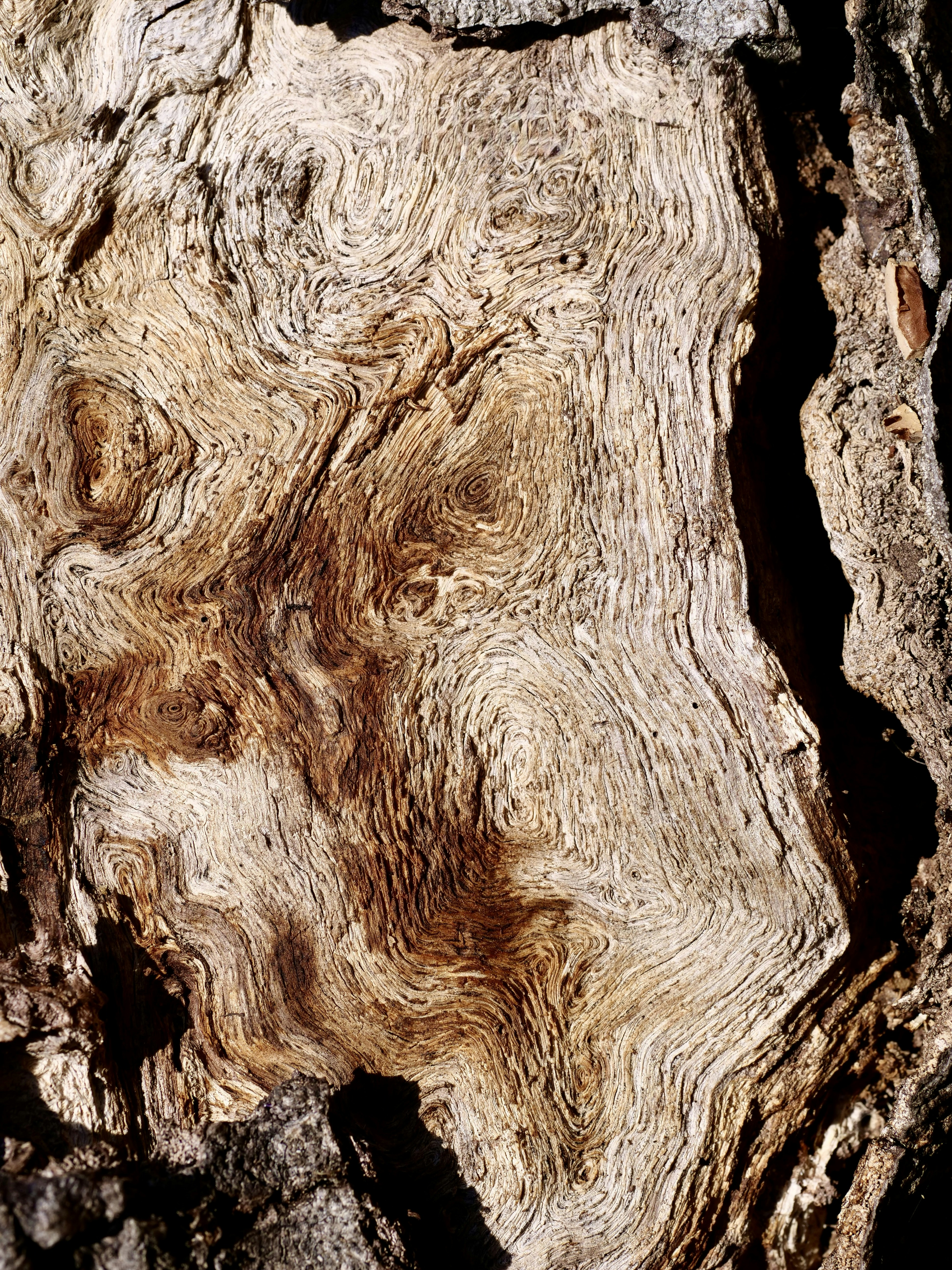 Photo by sschusterphotoart