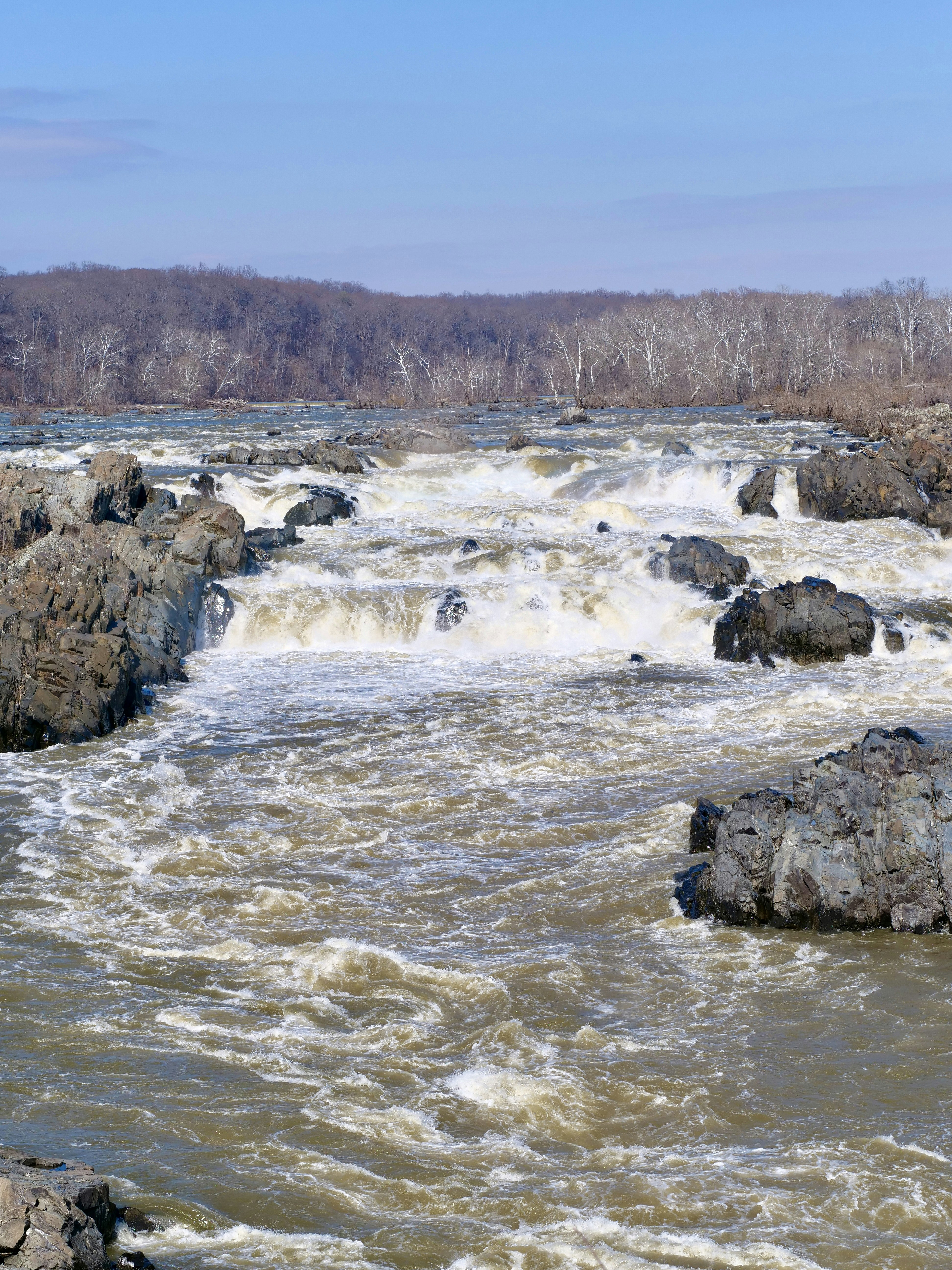 Photo by sschusterphotoart