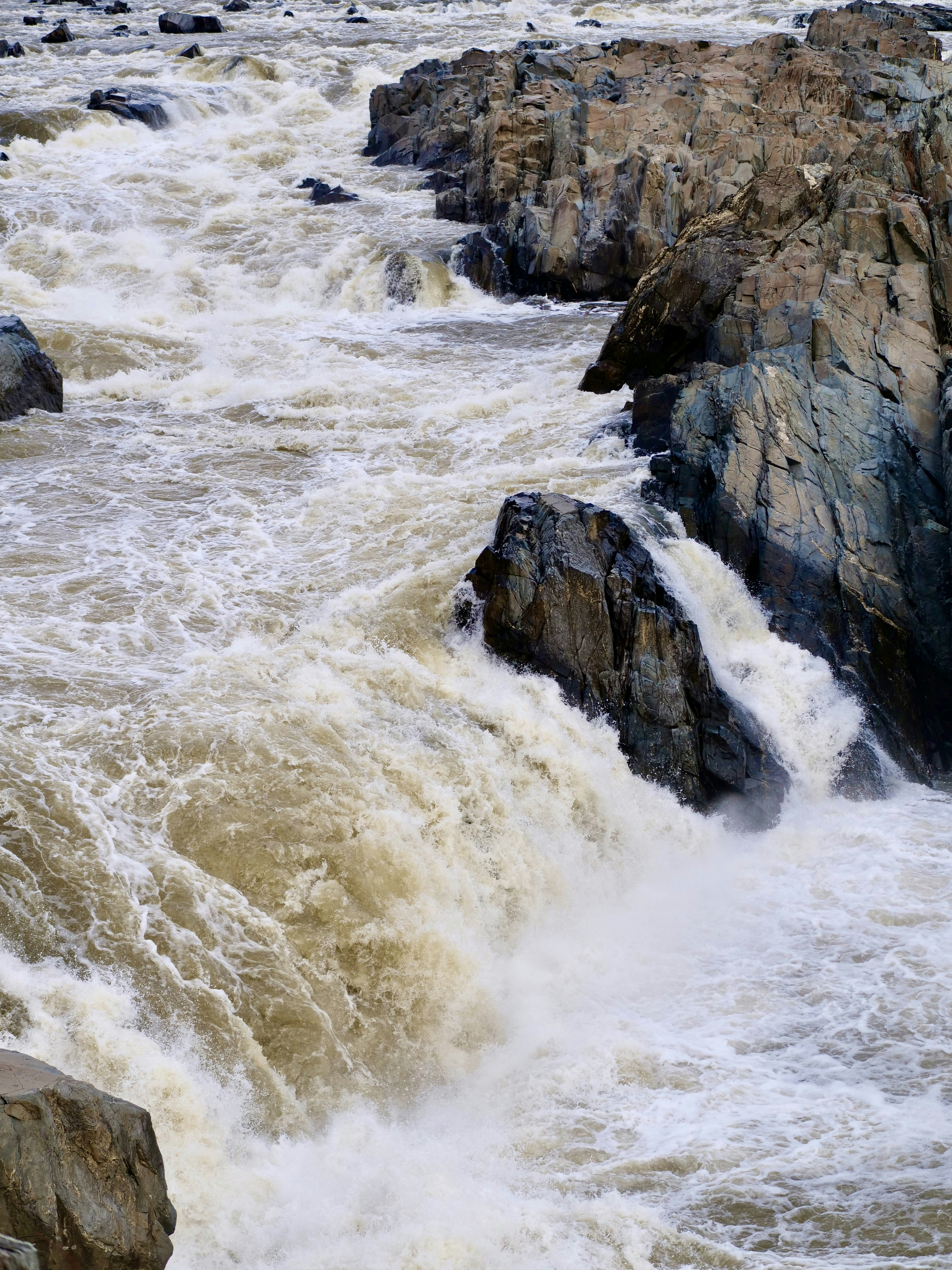 Photo by sschusterphotoart