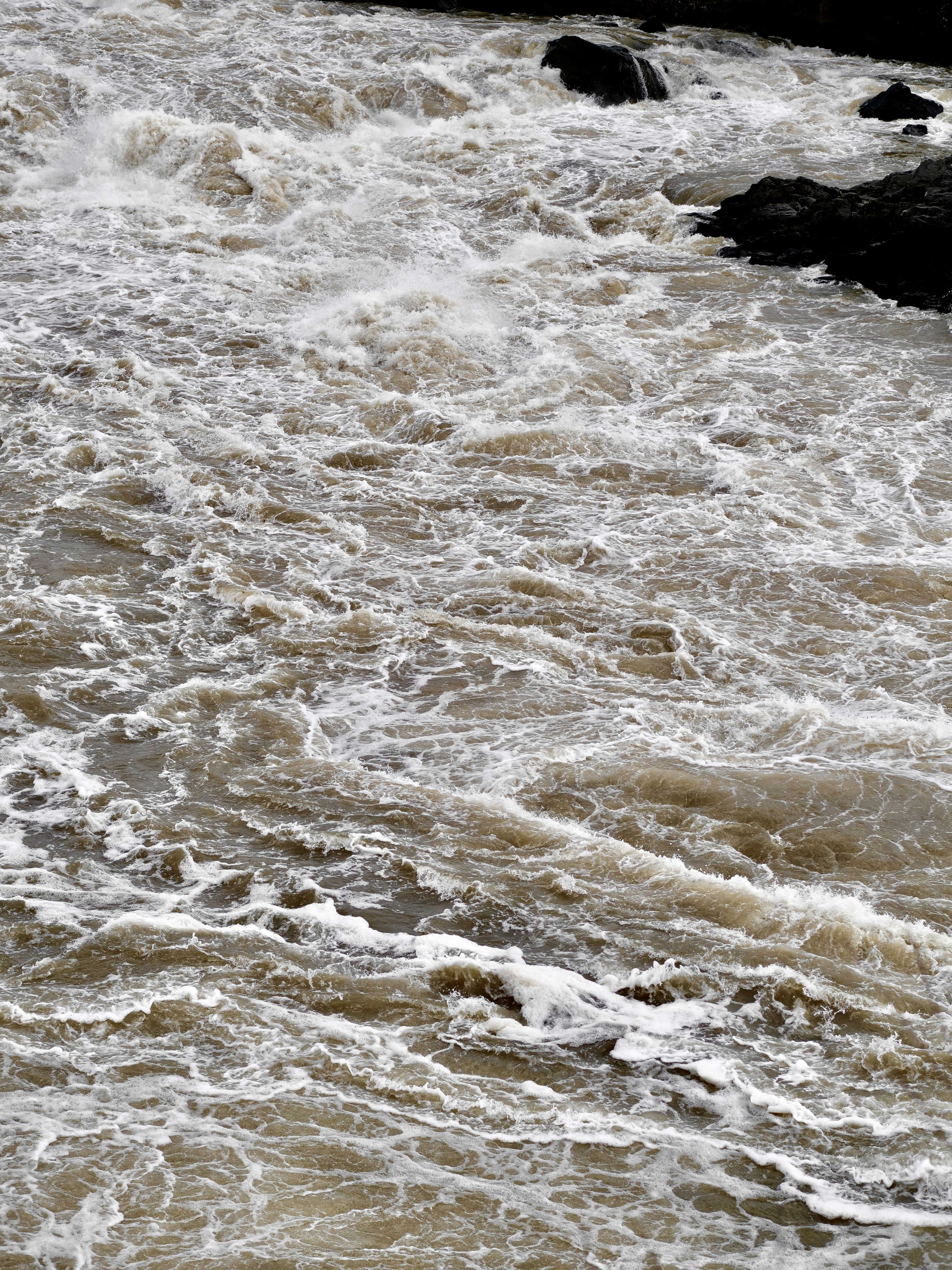 Photo by sschusterphotoart