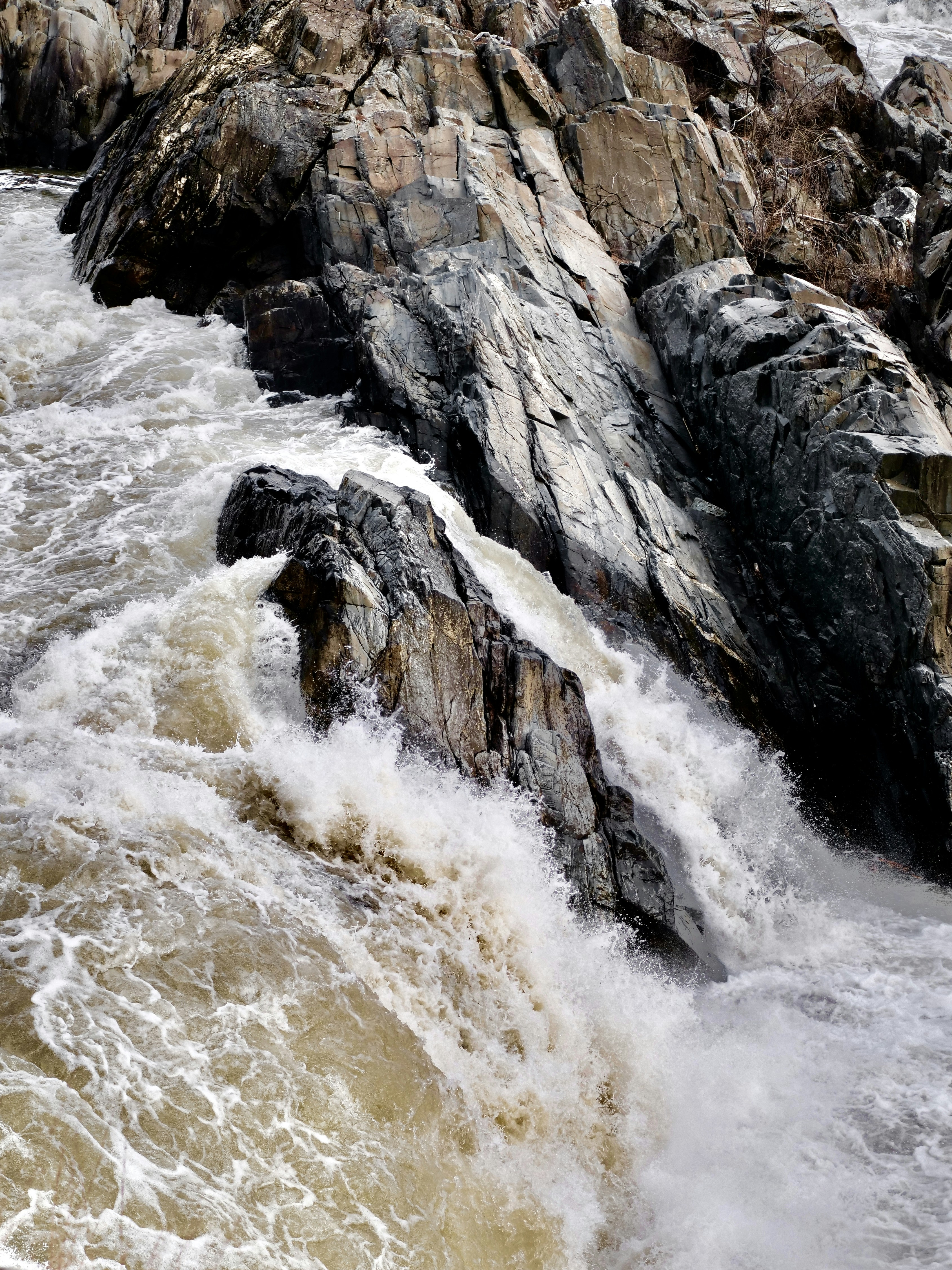 Photo by sschusterphotoart