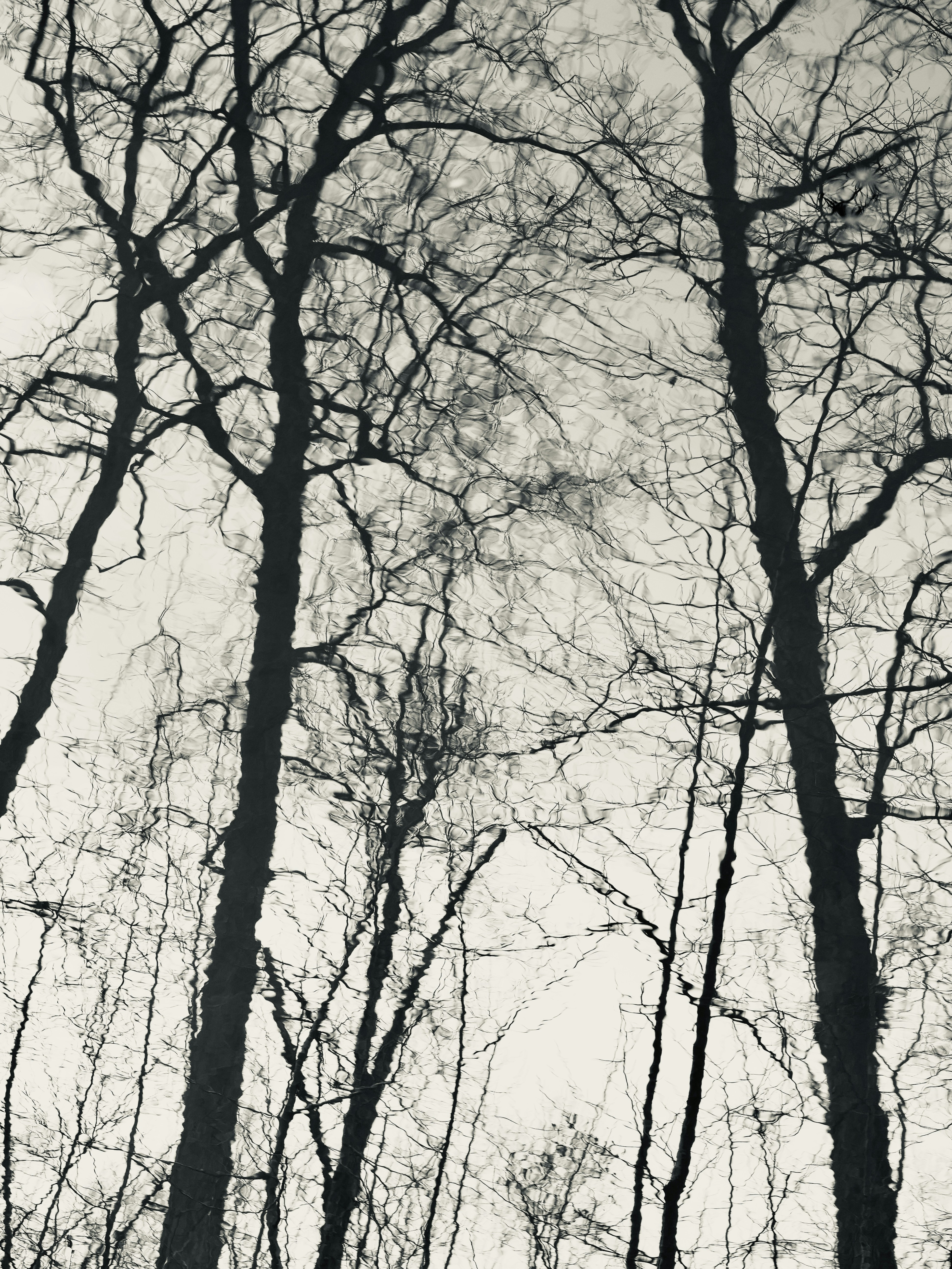 Photo by sschusterphotoart