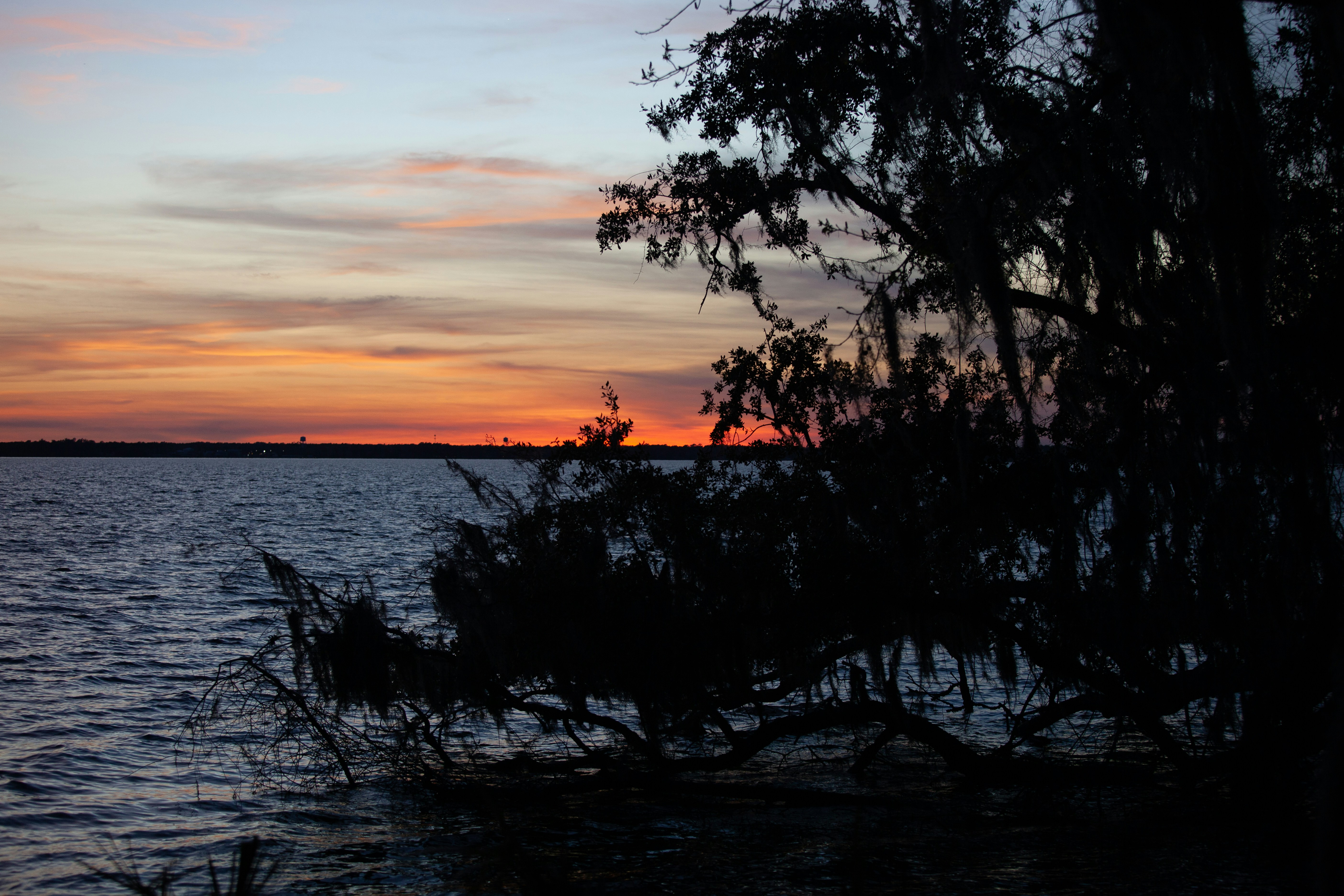 Photo by frontspace101