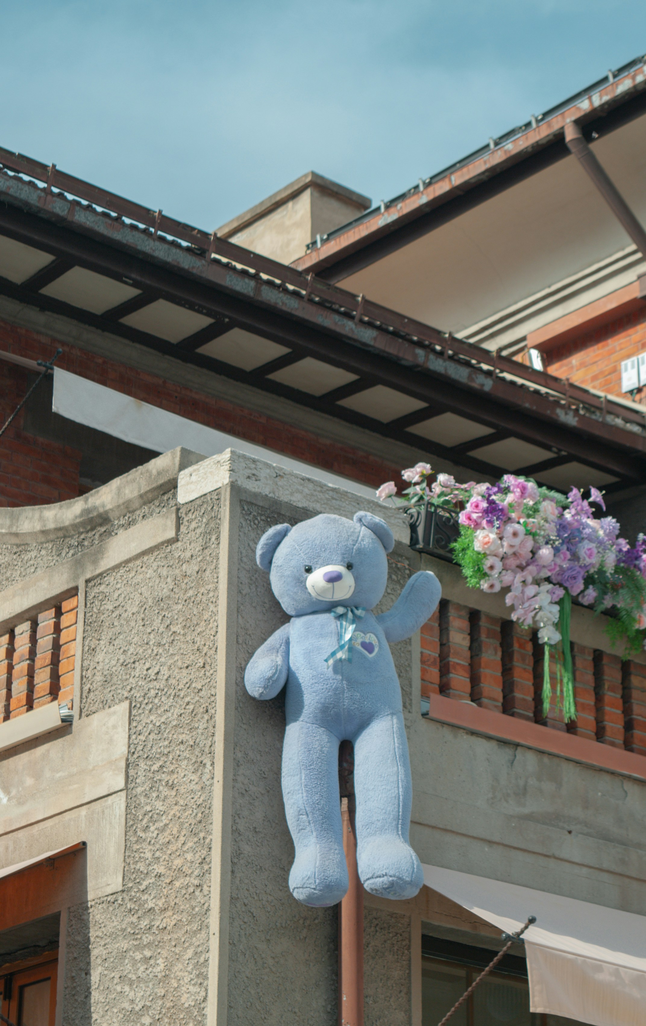 A large blue teddy bear hangs on a building wall.