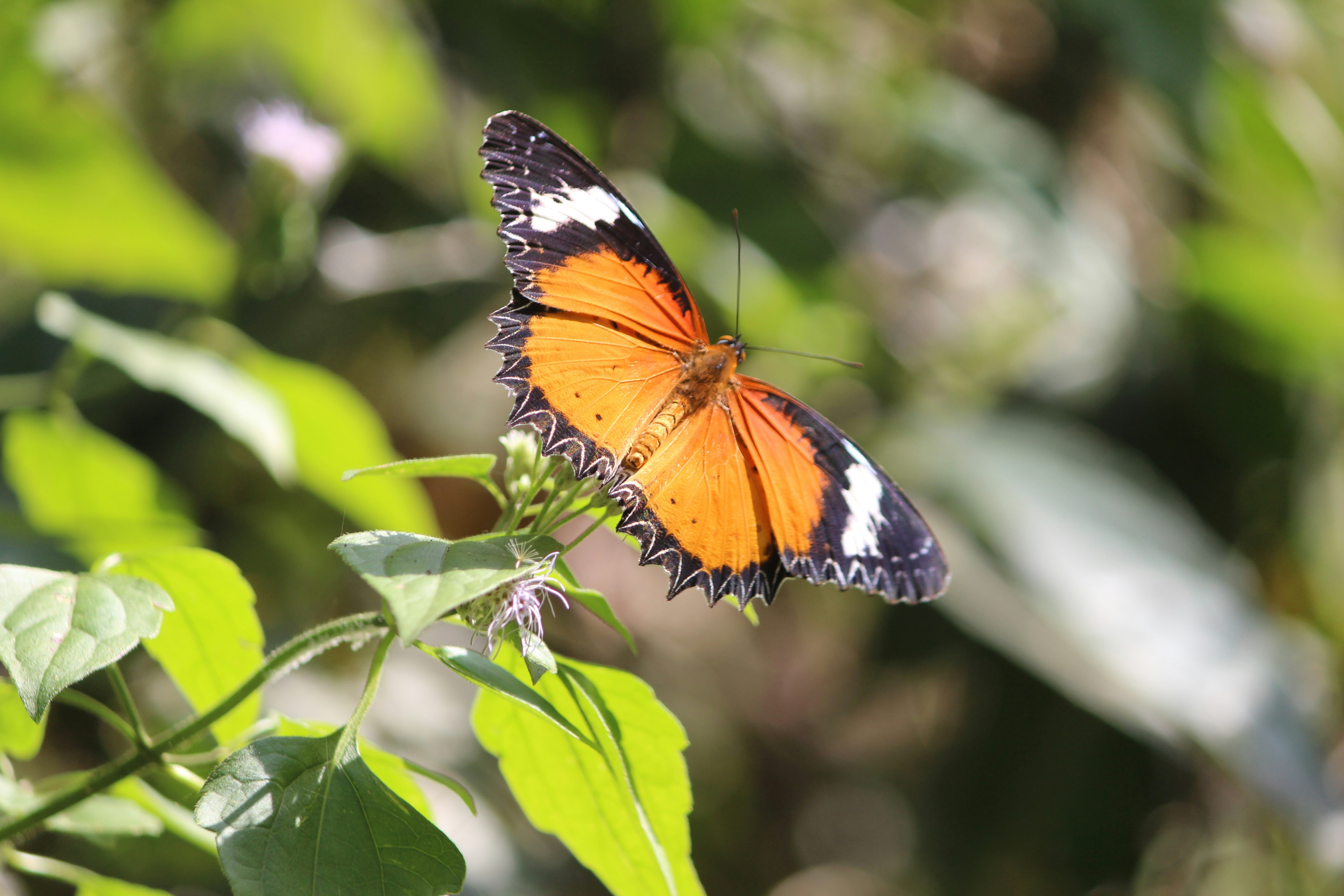 Photo by itzarshanovic