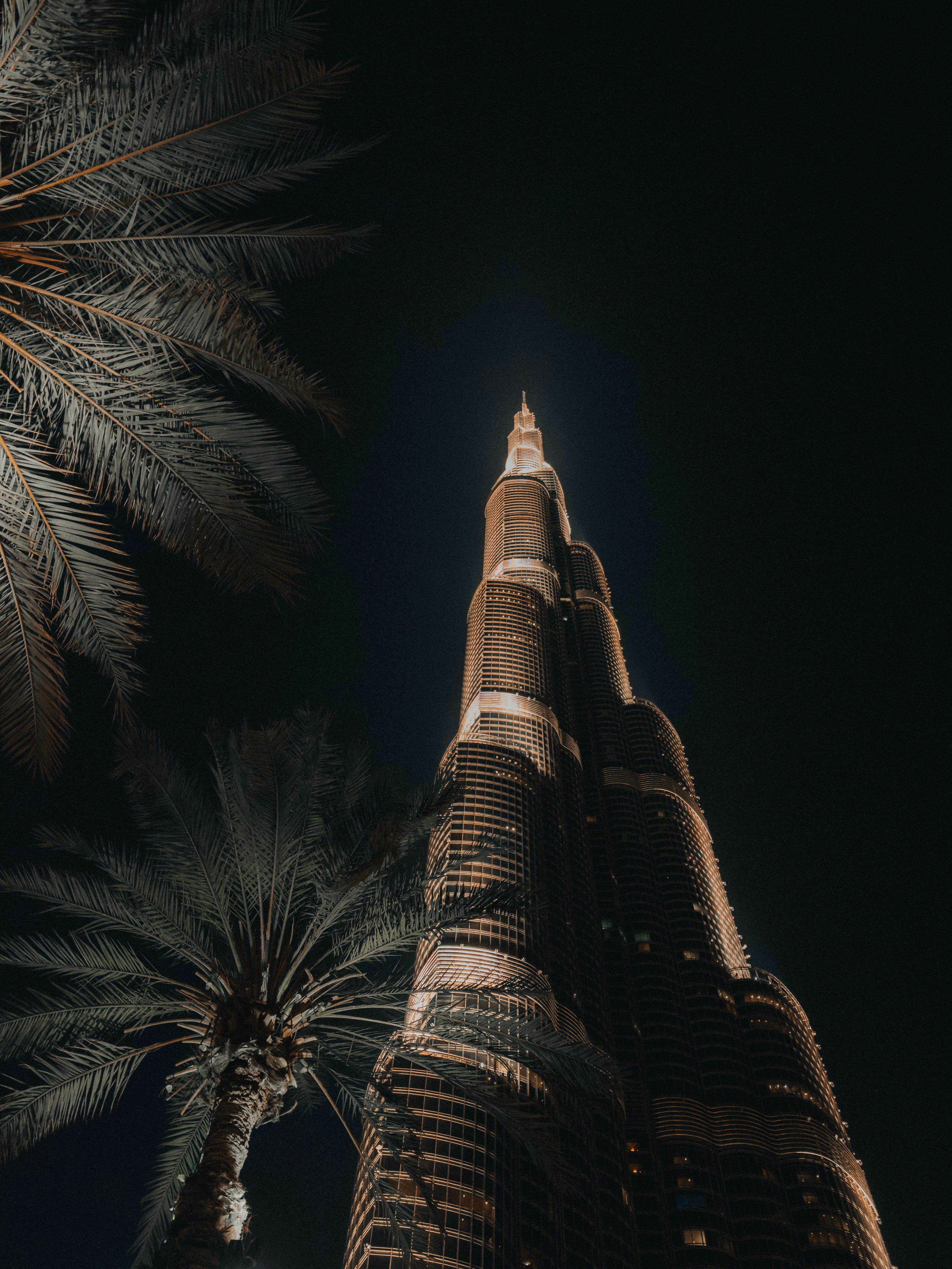 Burj khalifa skyscraper at night with palm trees