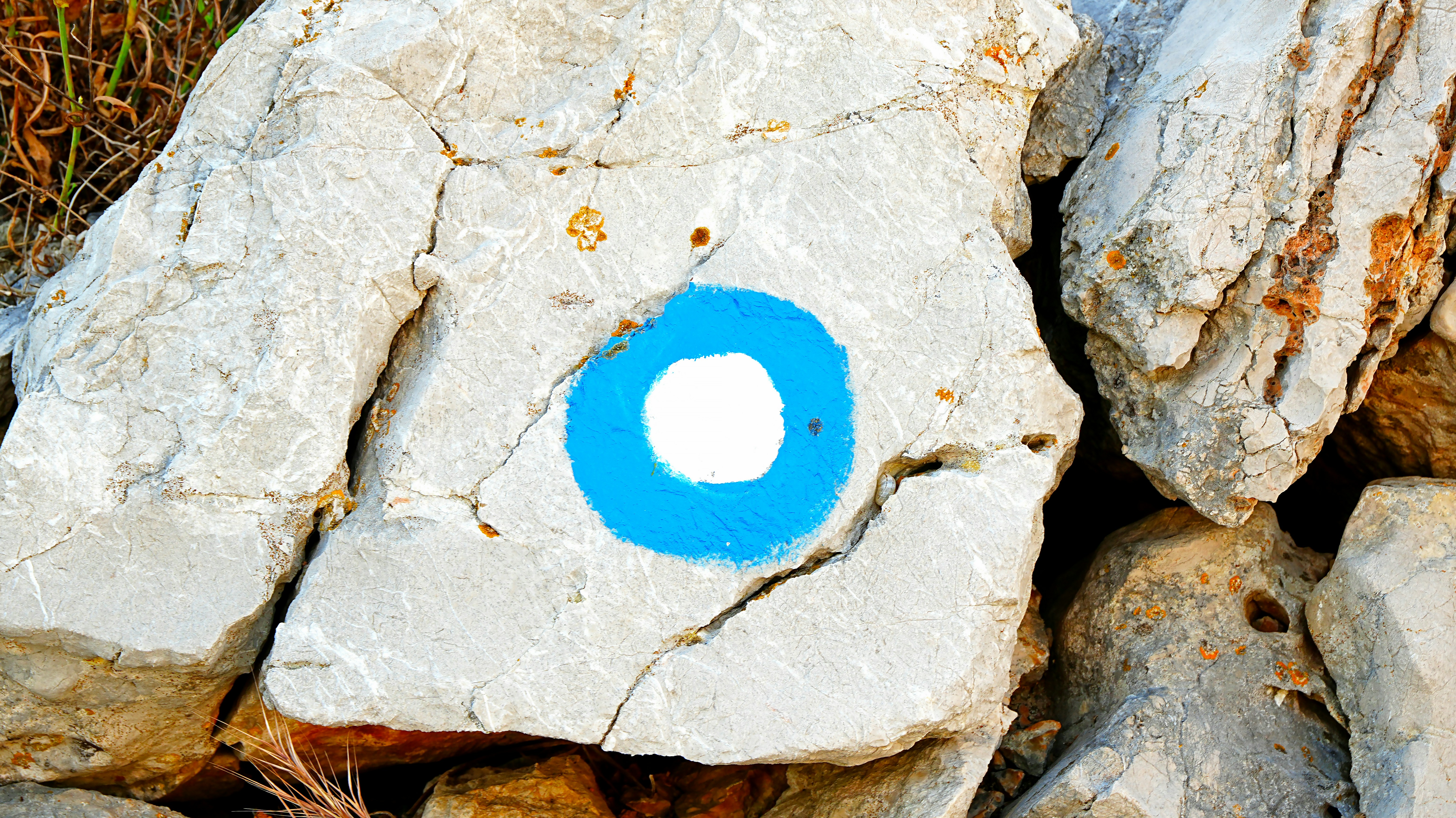 Blau-weißes Kreissymbol auf einen Felsen gemalt