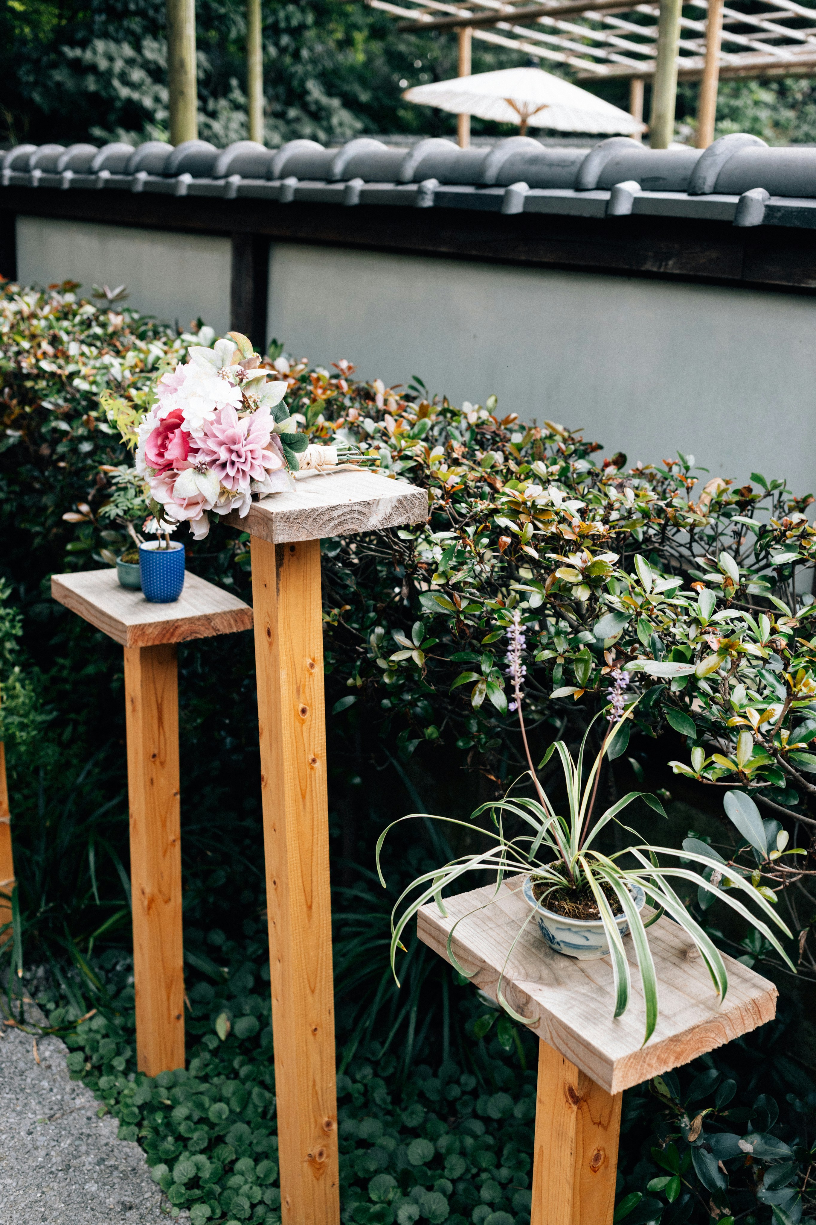 Photo by tsuyoshikozu