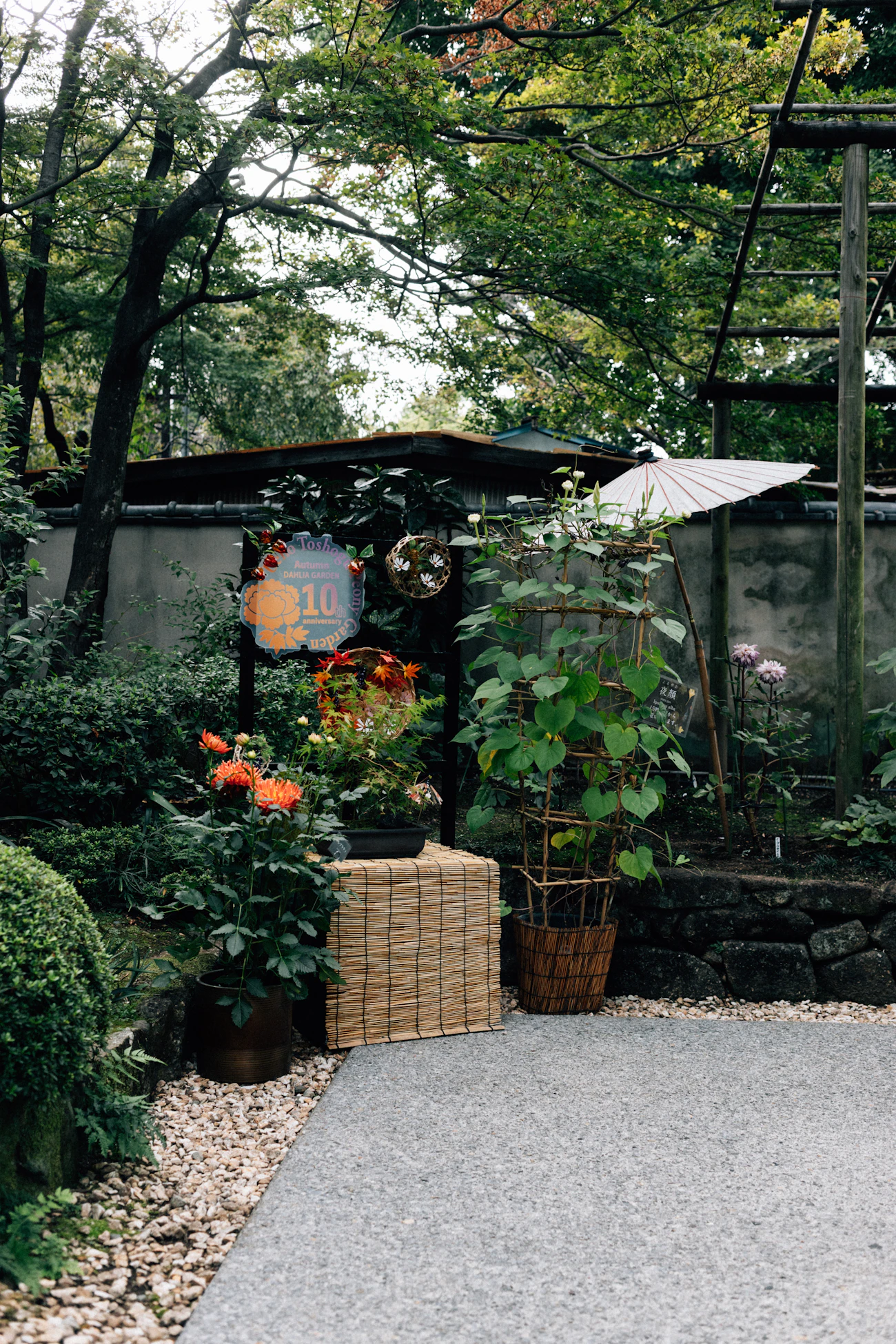 Lush garden with plants and stone wall