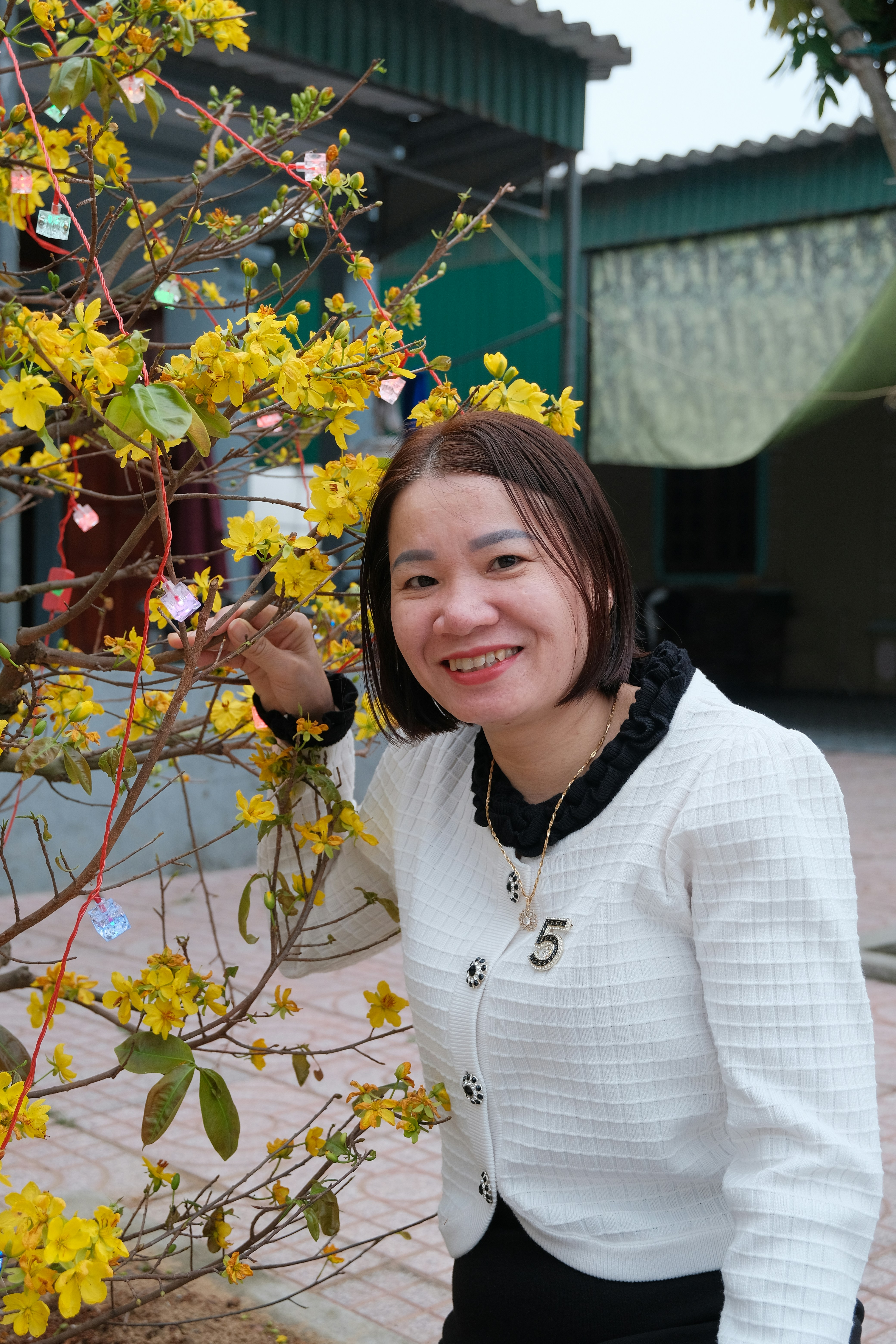 Photo by dvhoang2106