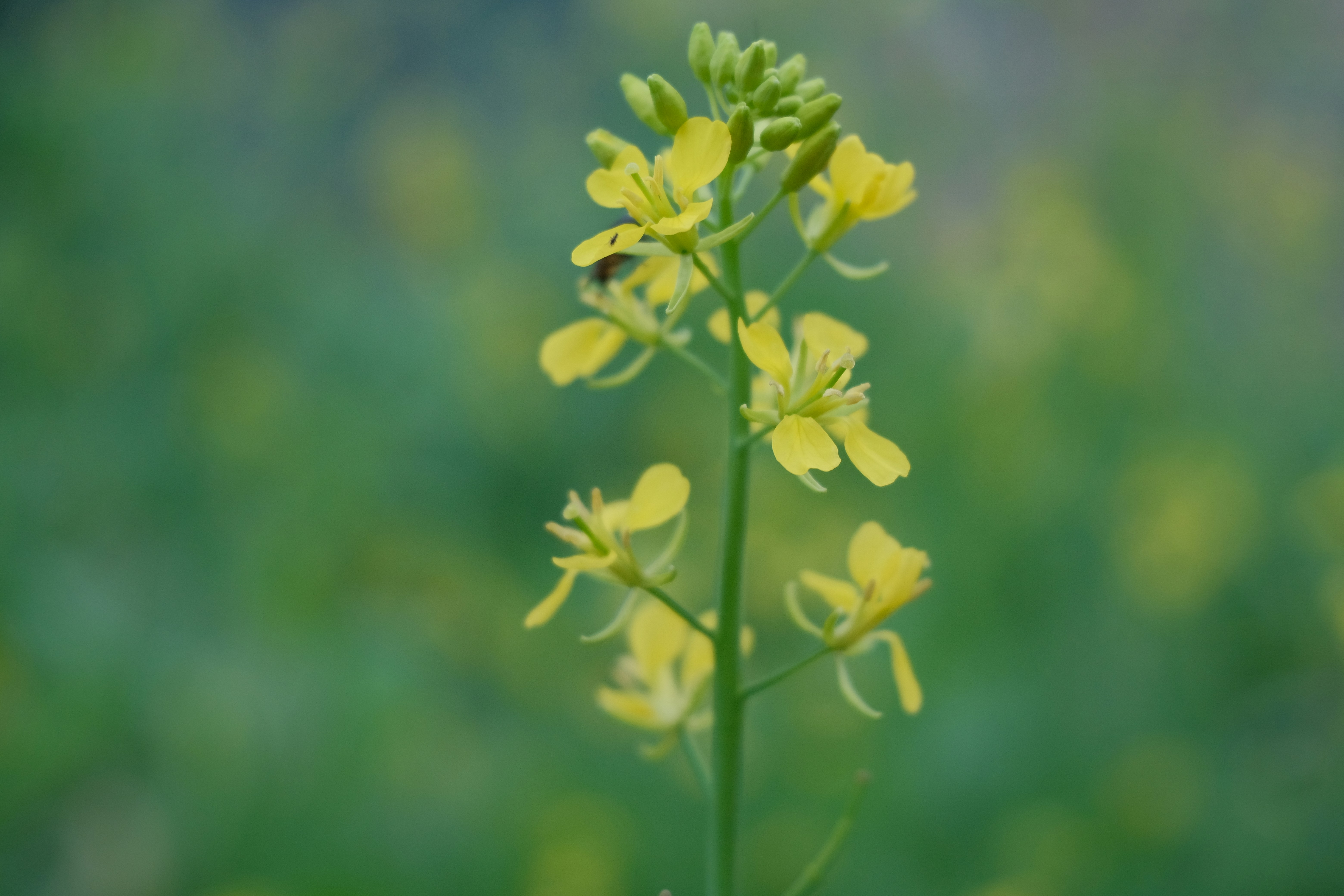 Photo by dvhoang2106