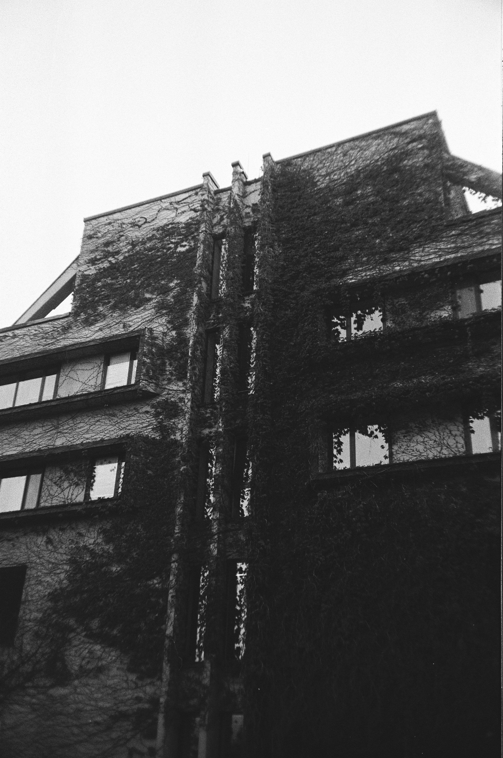 Photo by amberfoxfilm