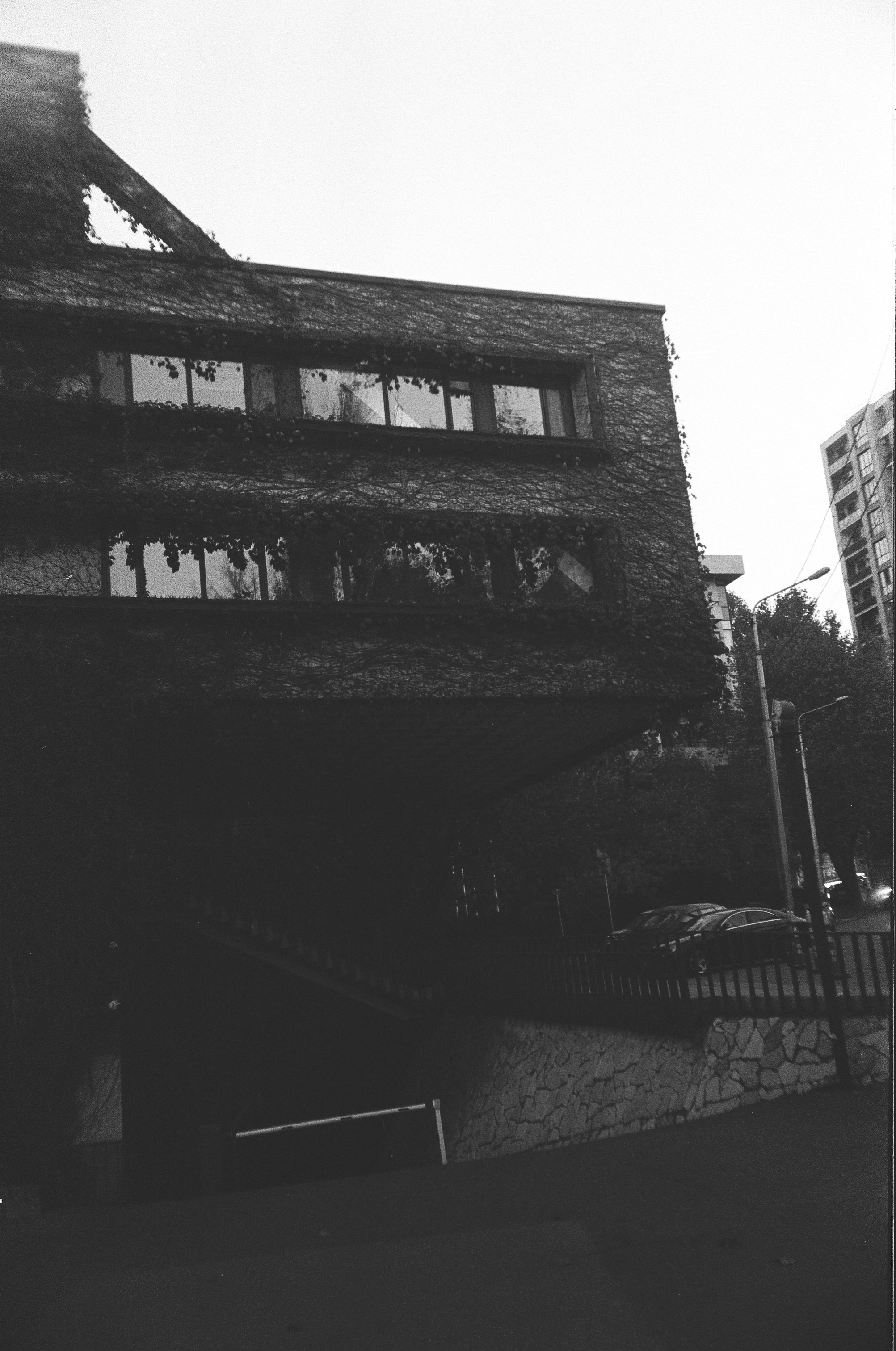 Photo by amberfoxfilm